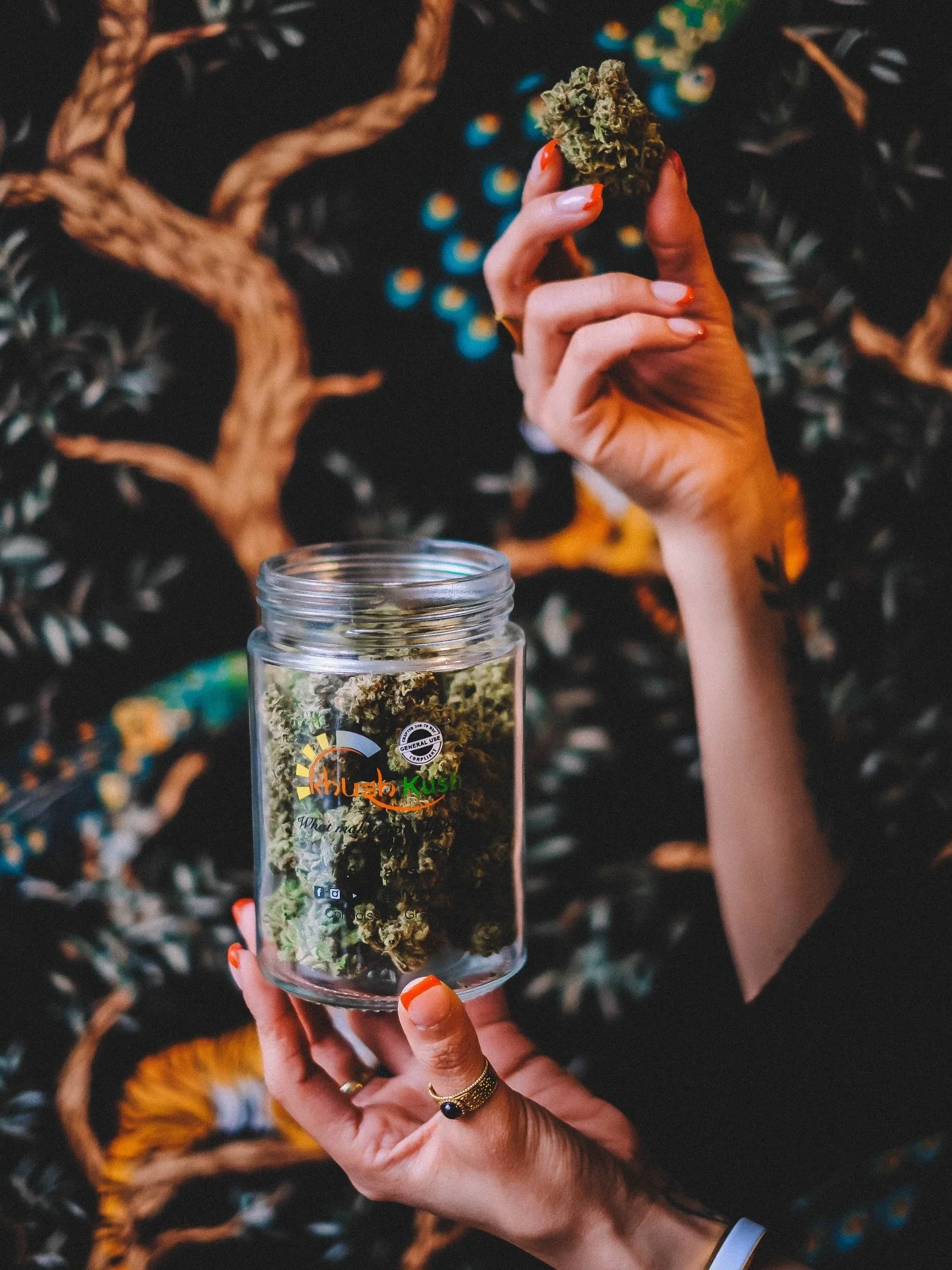 Great flower changes the whole vibe. 🌿✨
Khush Kush &mdash; premium buds crafted for the perfect balance of euphoria and relaxation. 

Smooth aroma, rich flavor, and the kind of quality you feel from the first pull.

Whether you&rsquo;re just getting