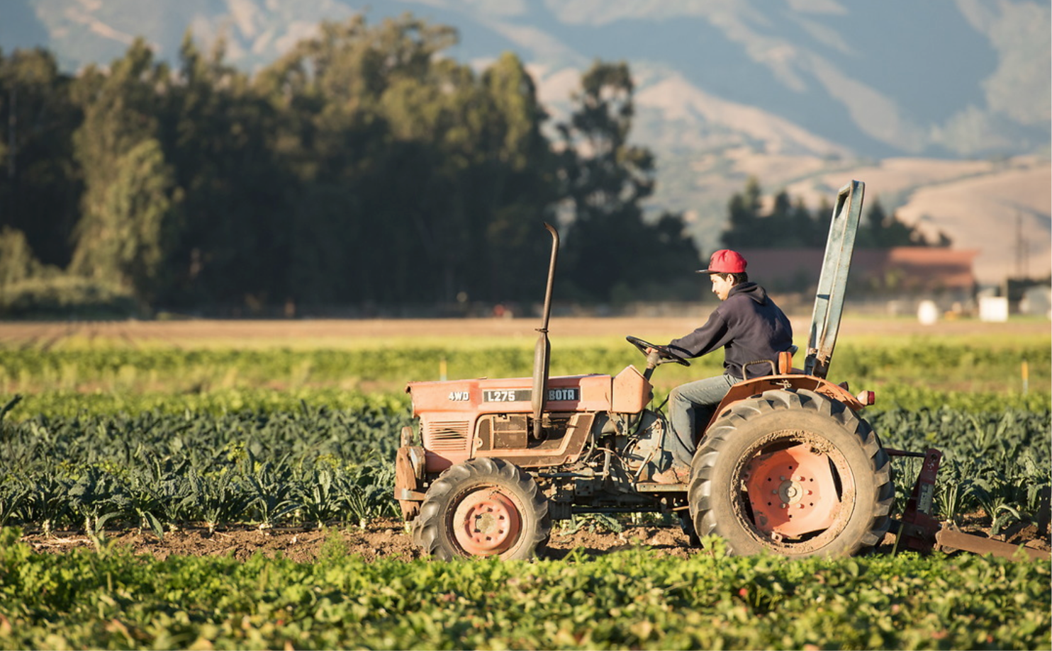 PremiumOrganicFarm_Crop@3x.png