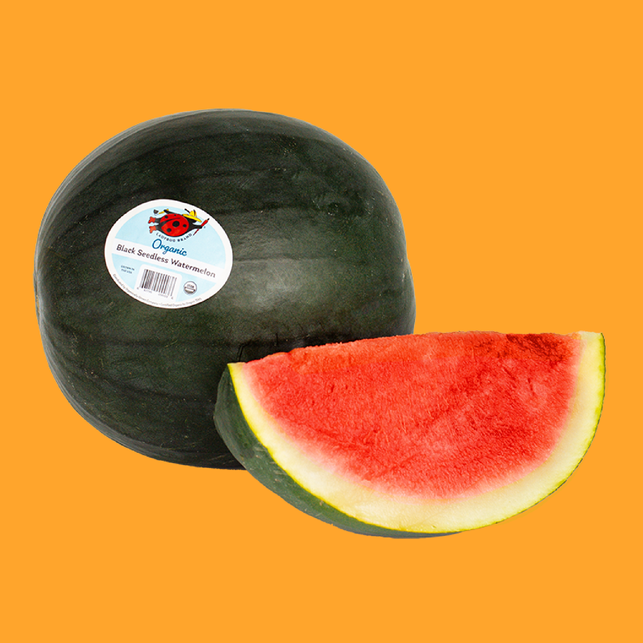 BlackWatermelon_KO.png