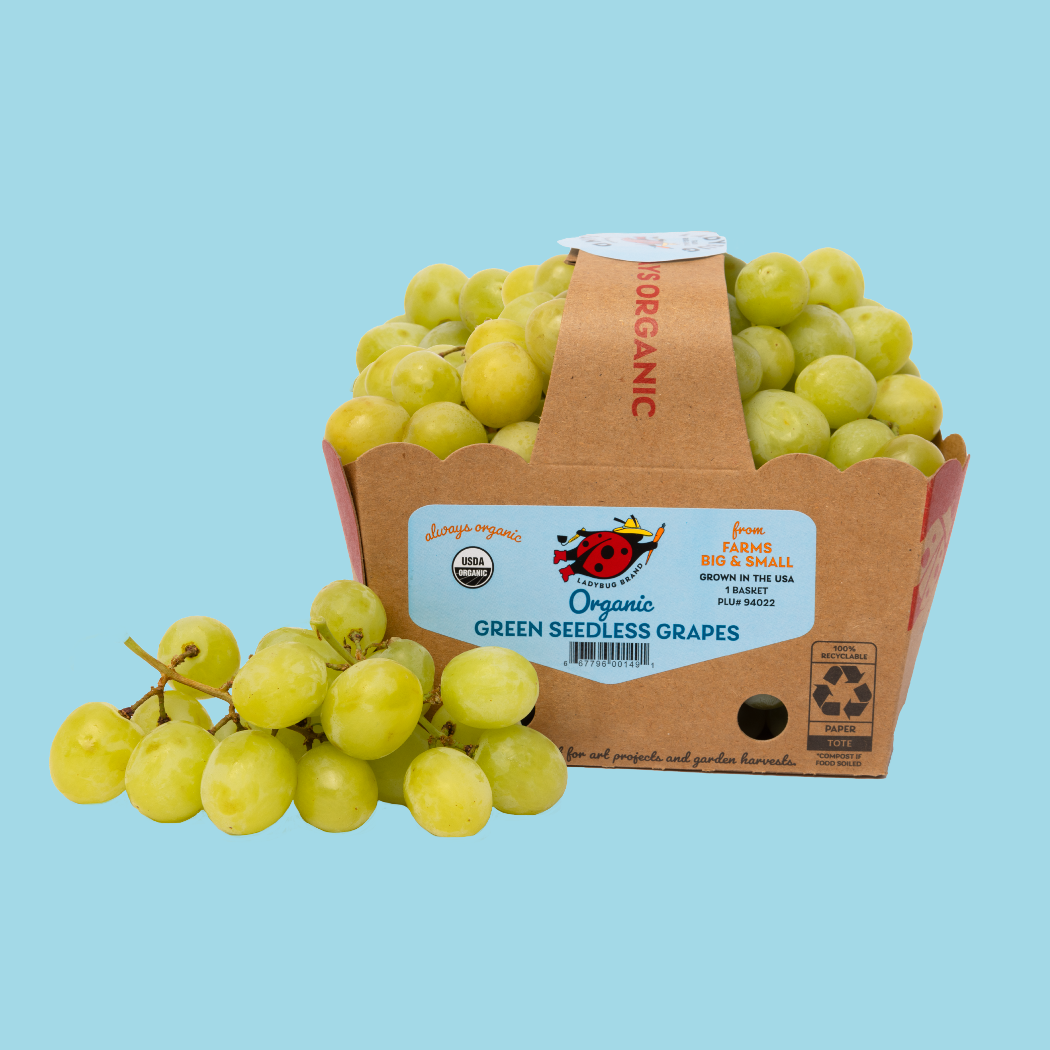 grapes_KO.png