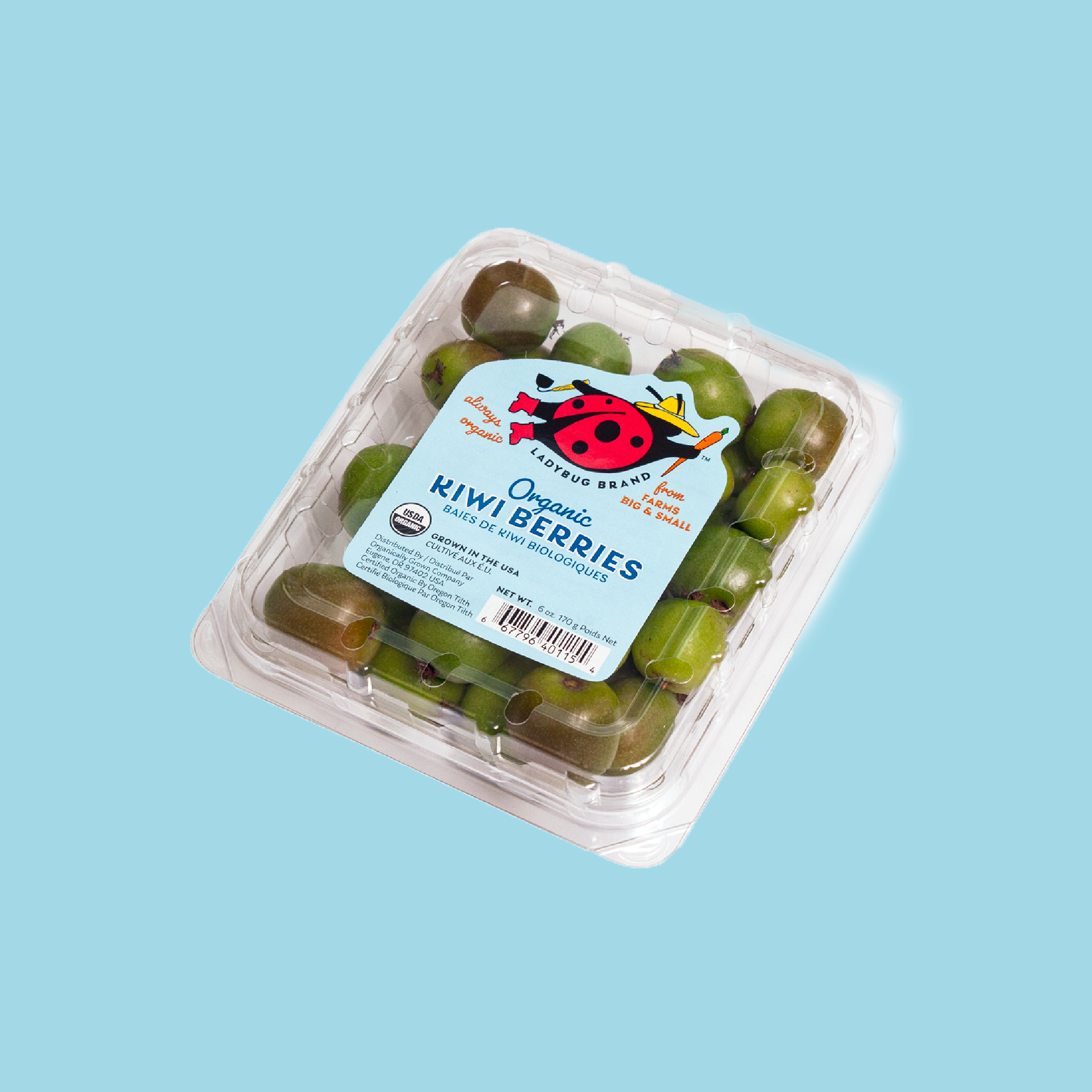 Kiwi_KO.png