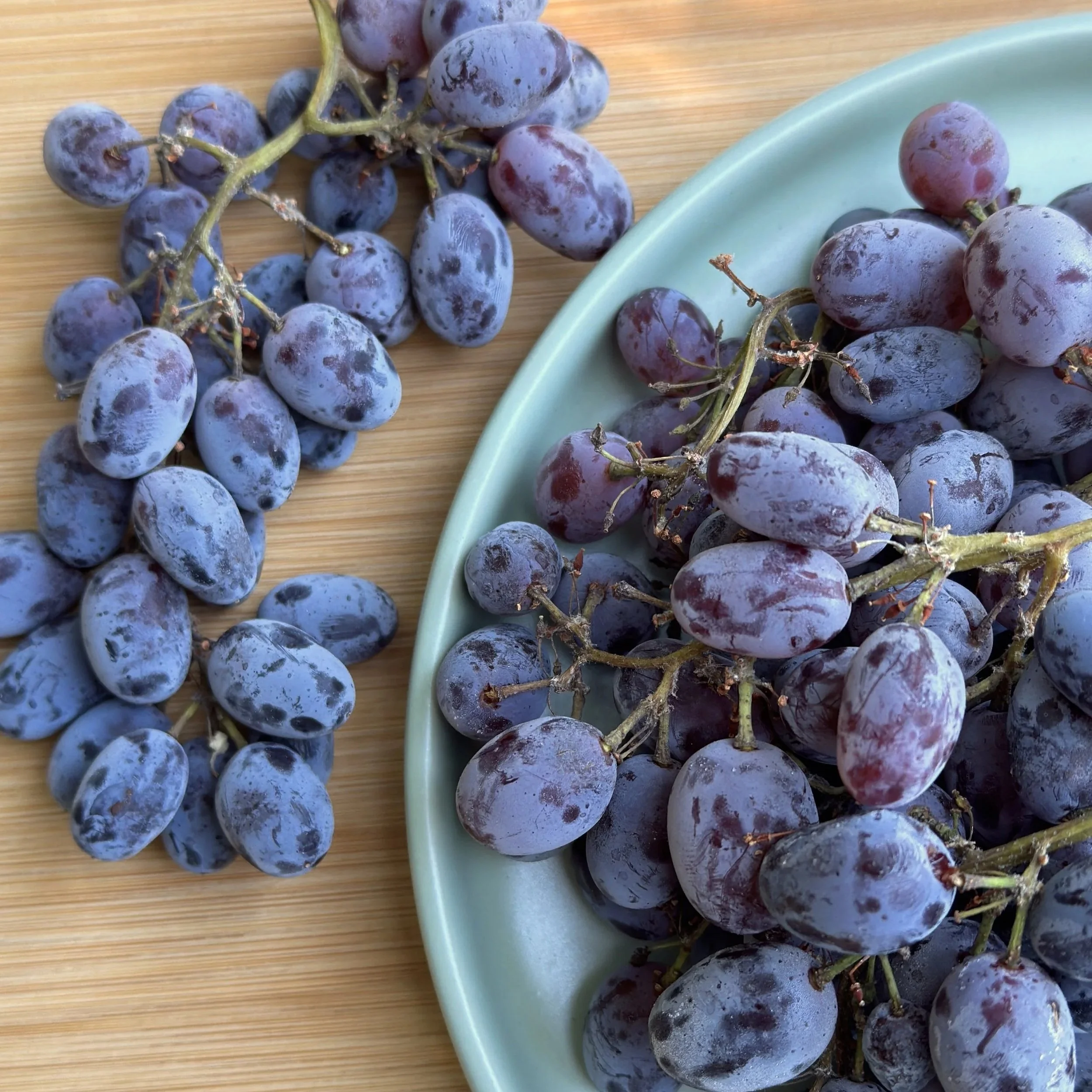 1+Jupiter+Grapes.jpg