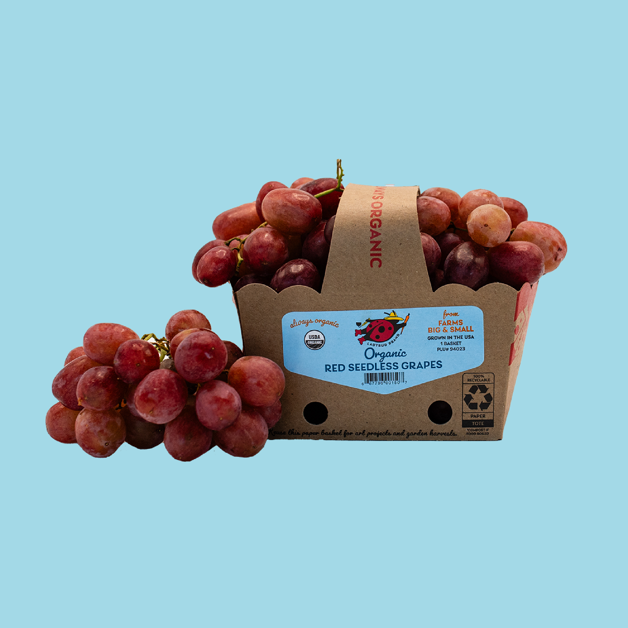 Redgrapes_KO.png