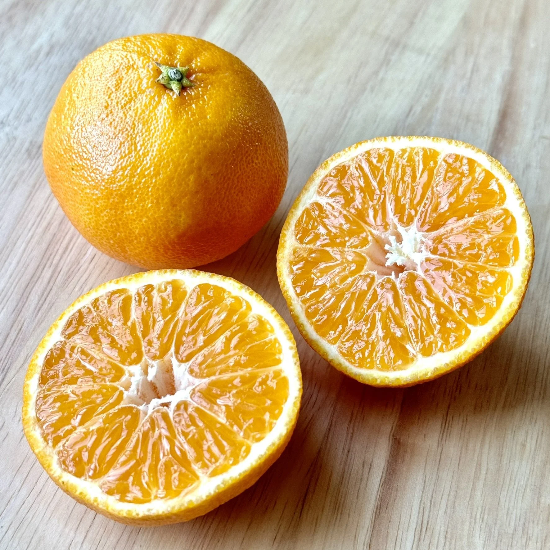 1 Clementine Mandarin 2 2024 (1).JPEG