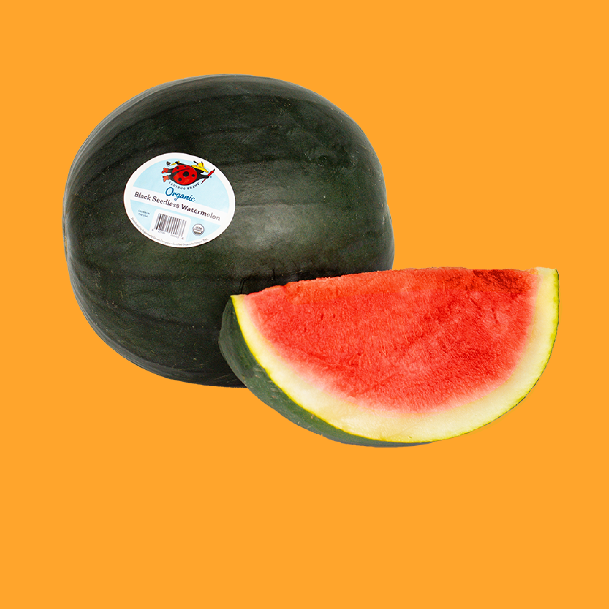 Watermelon_KO.png