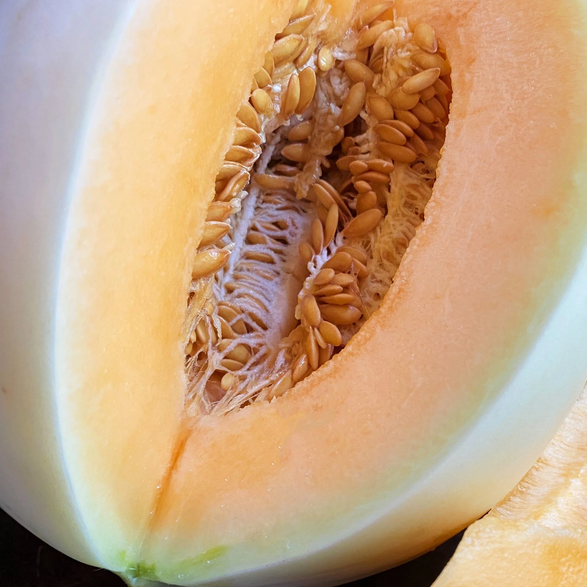 2 Orange Honeydew.jpg