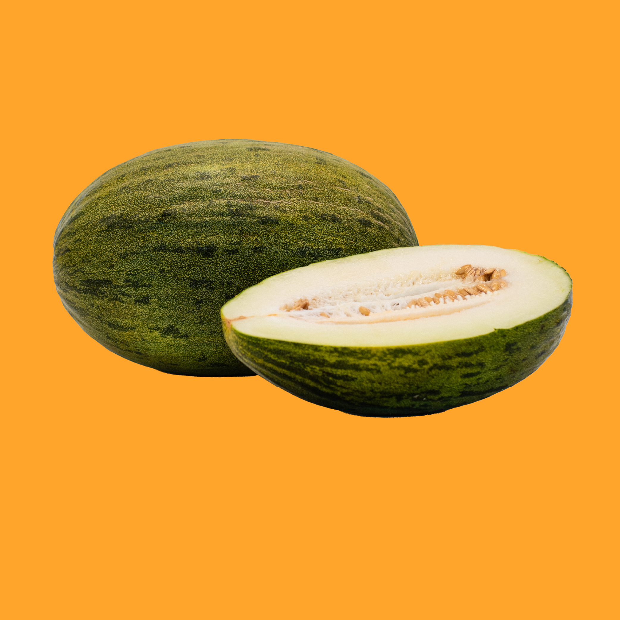Piel_KO.png