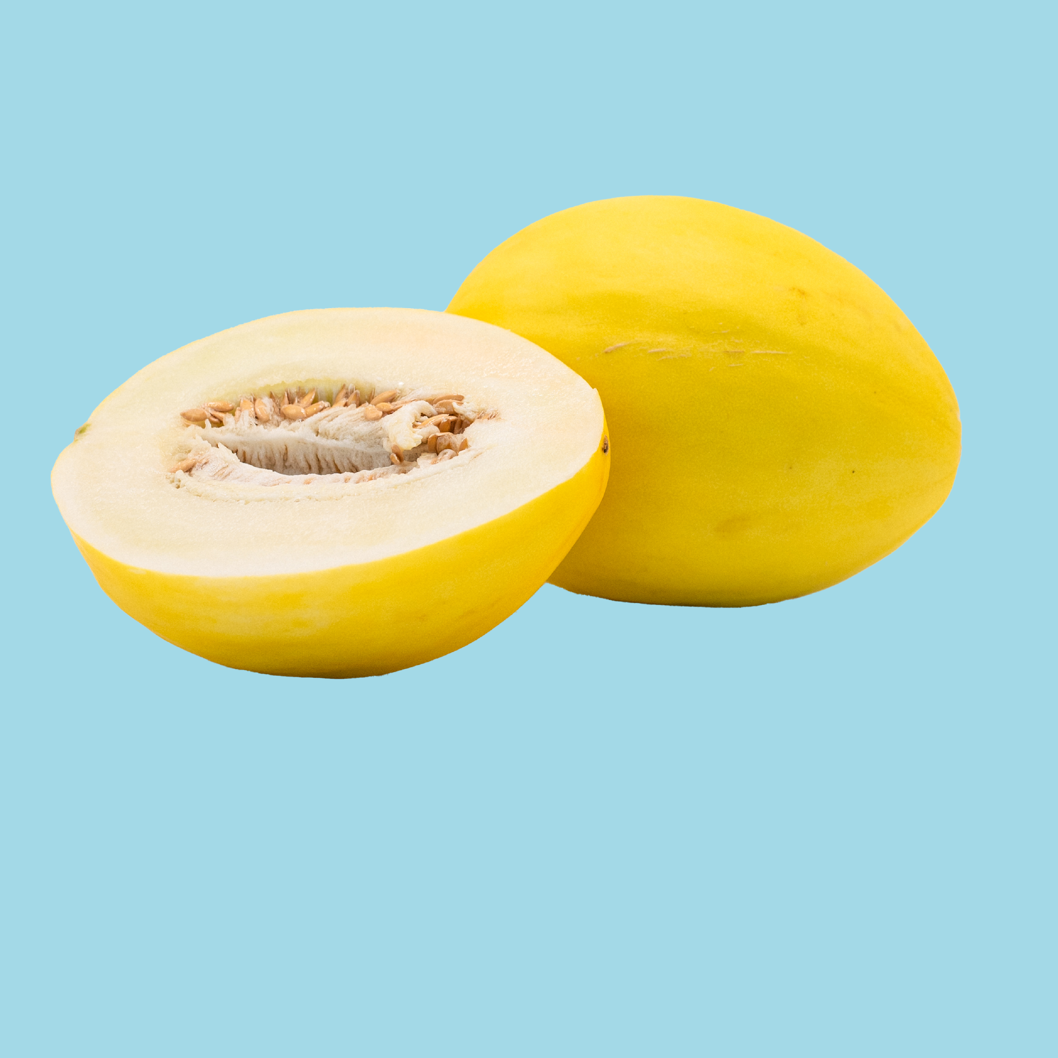Canary_KO.png