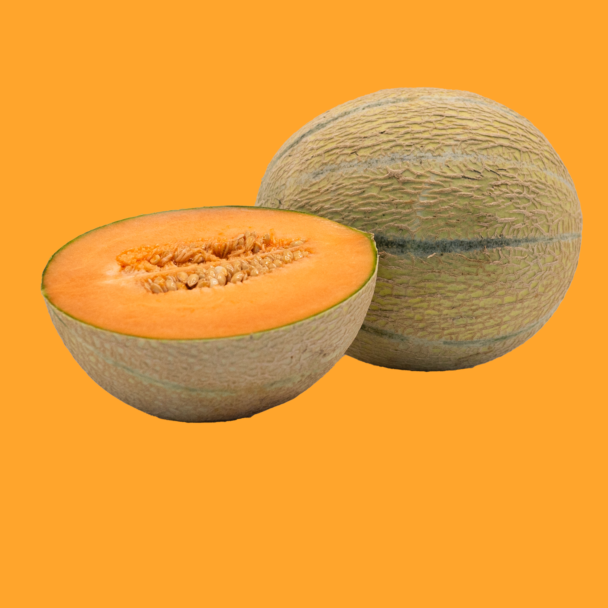 Charentais_KO.png