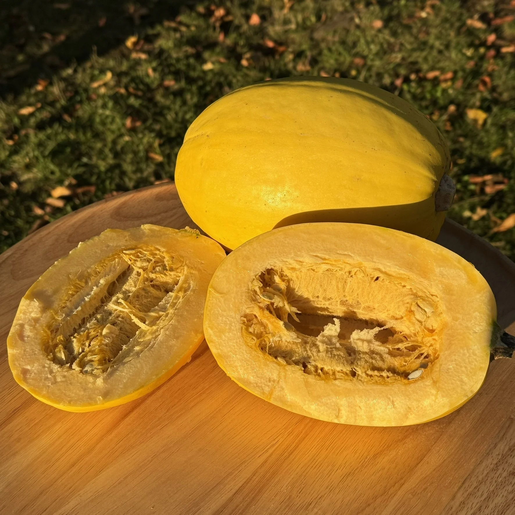 1 Spaghetti Squash.JPEG