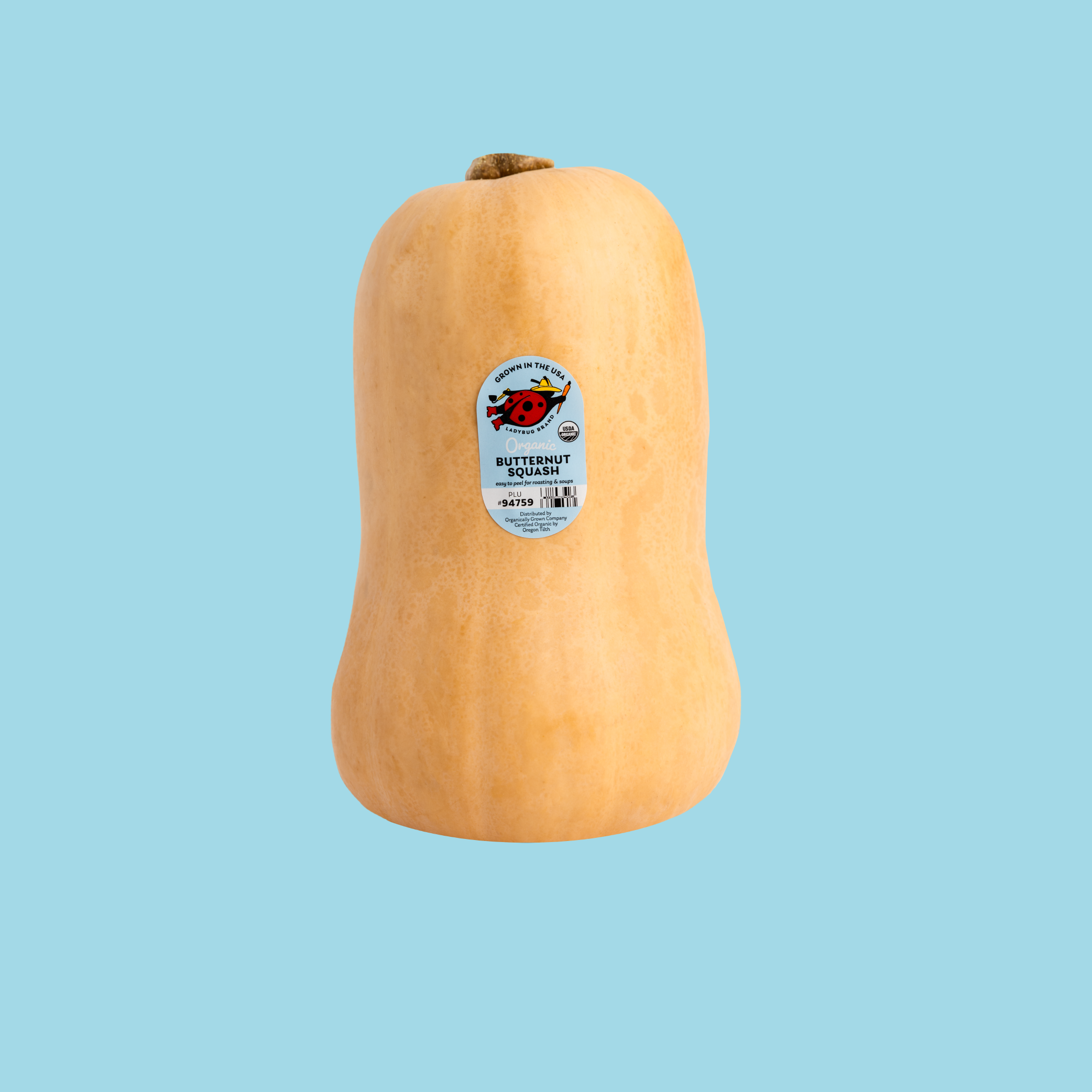 Butternut.png
