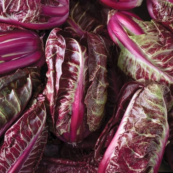 Radicchio-Banda-Rossa-web.jpg