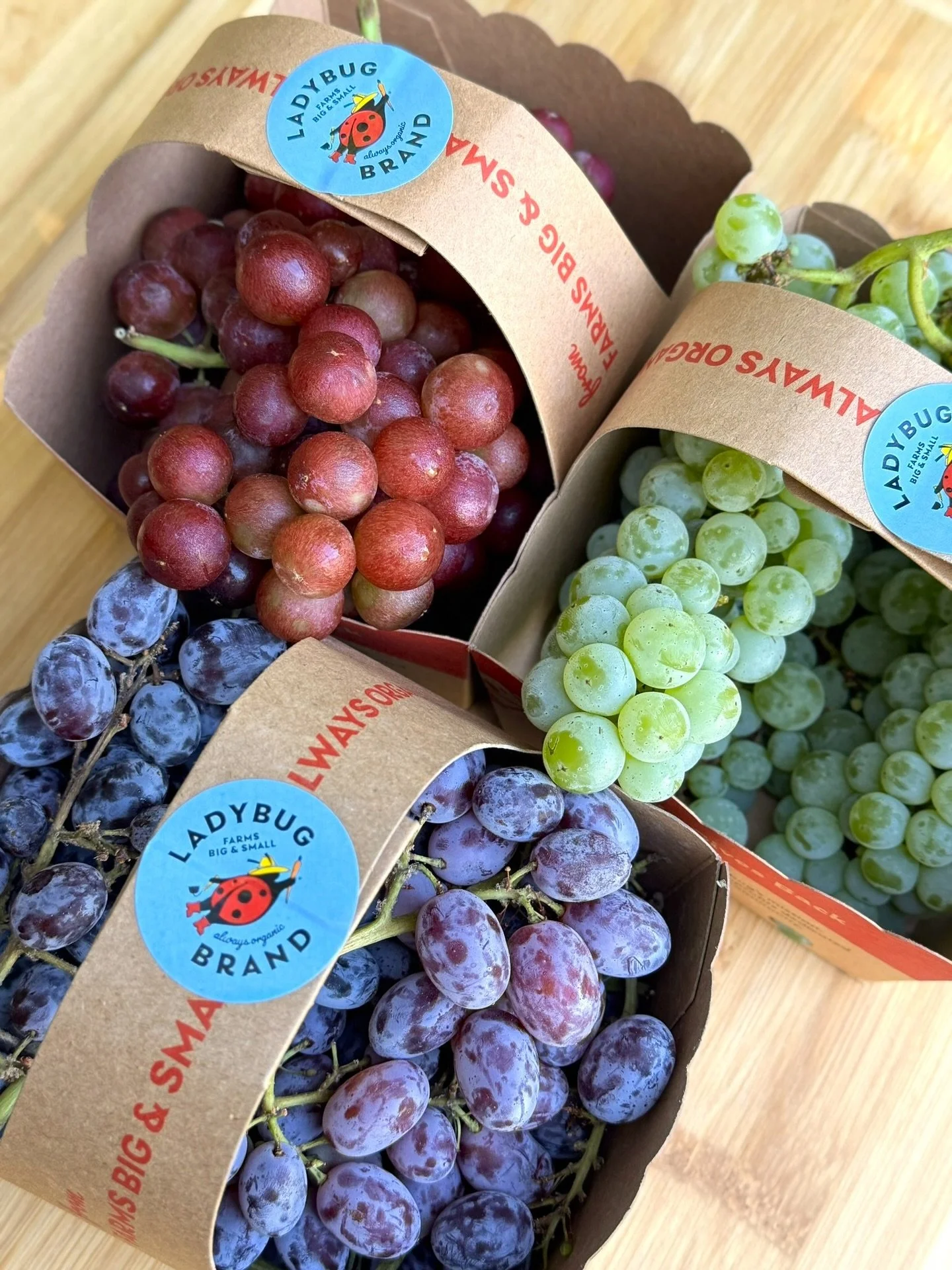 The whole spectrum of the grape rainbow is here and ready to taste! Interlaken grapes are green and tangy, Jupiter grapes are black with a sweet, floral flavor, and Reliance grapes round things out with red and intense sweetness. They&rsquo;re ready 