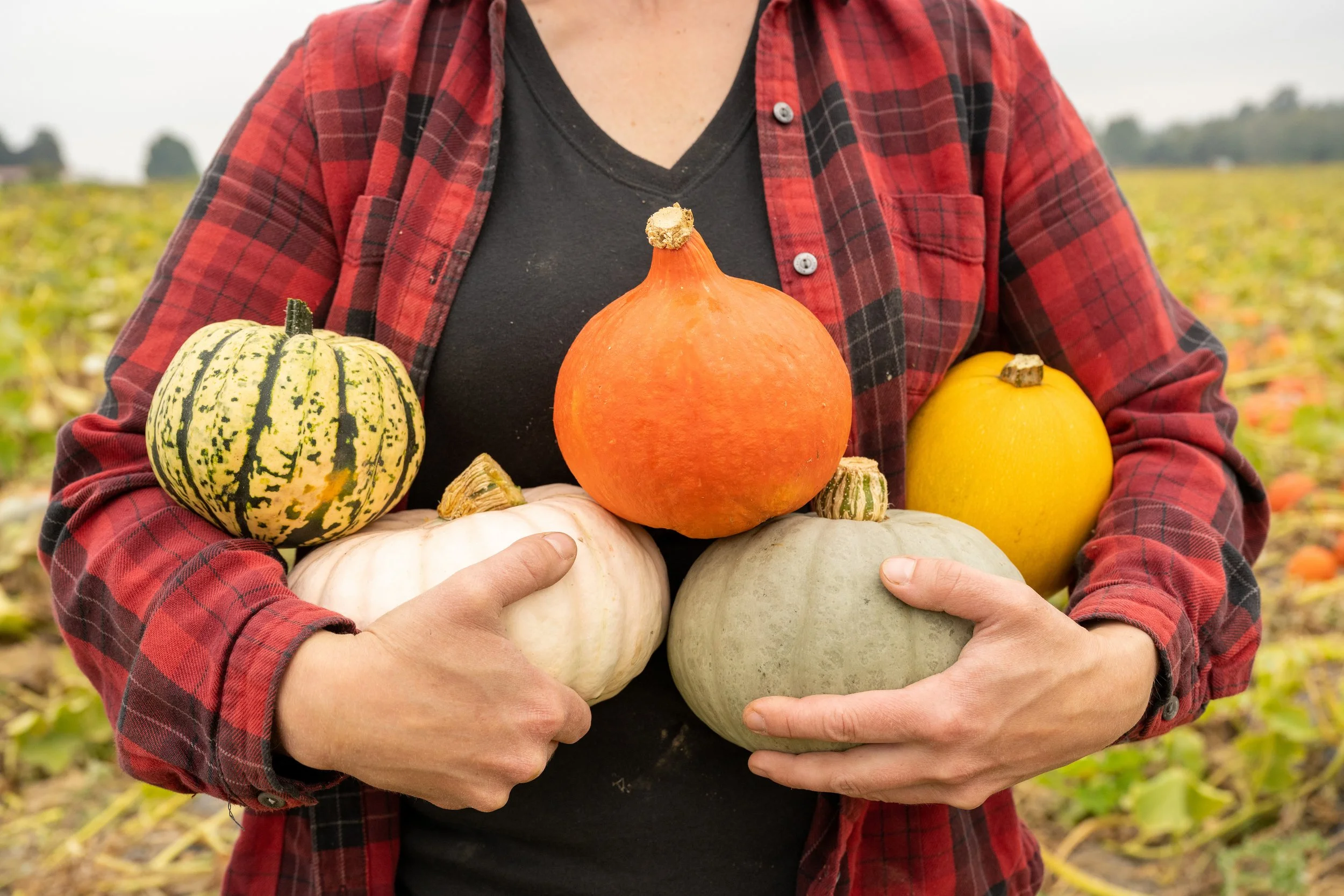 2022_Boldly_Grown_Farm_0117_HoldingWinterSquash.jpg