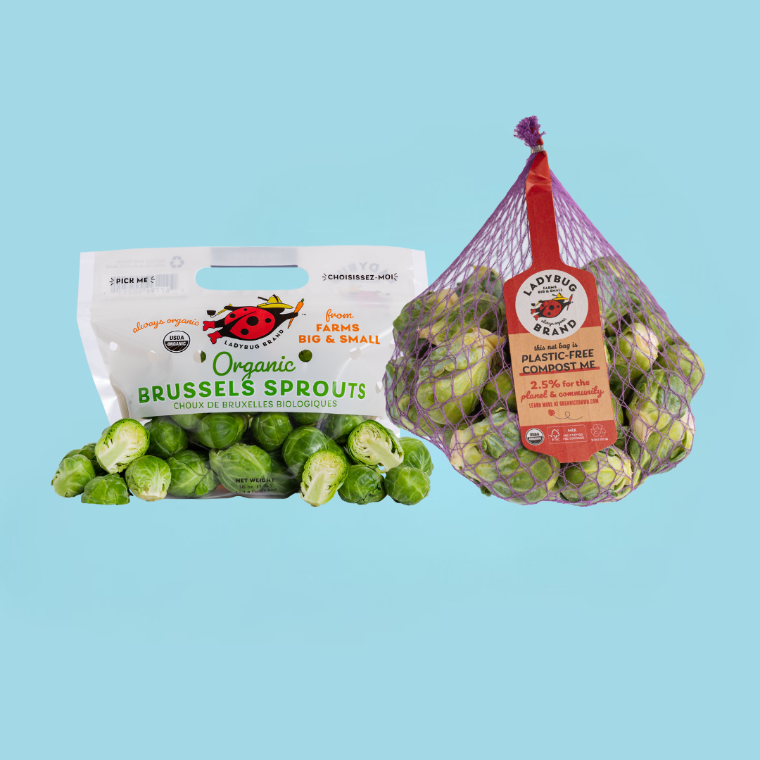 Net bag x pack brussels.png