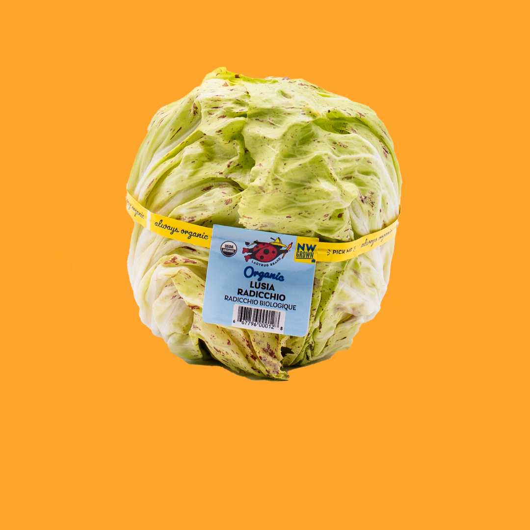 Lusia Orange Square.png