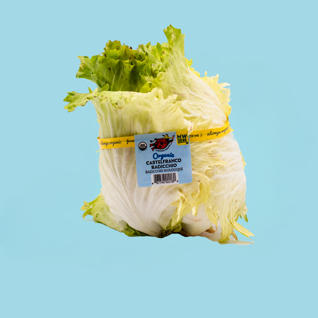 Castelfranco Blue Square.png