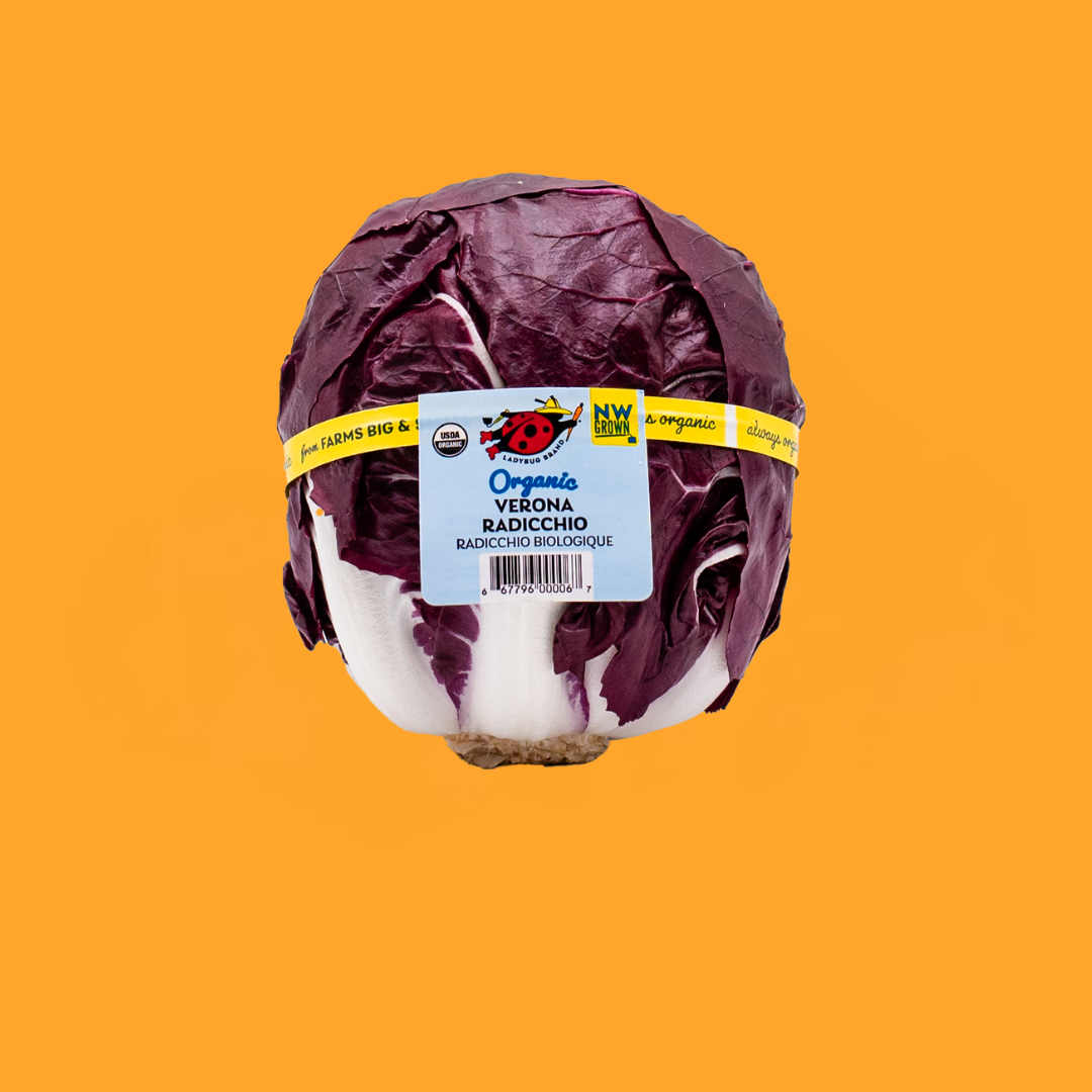 Verona Orange Square.png