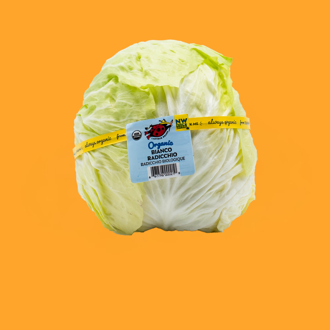 Bianco Orange Square.png