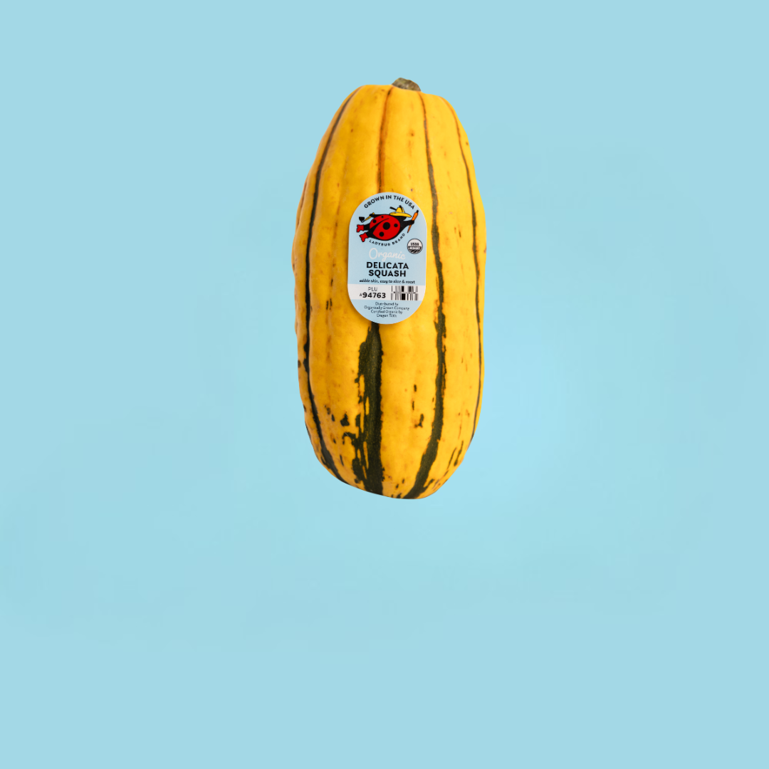 Delicata Blue Square.png