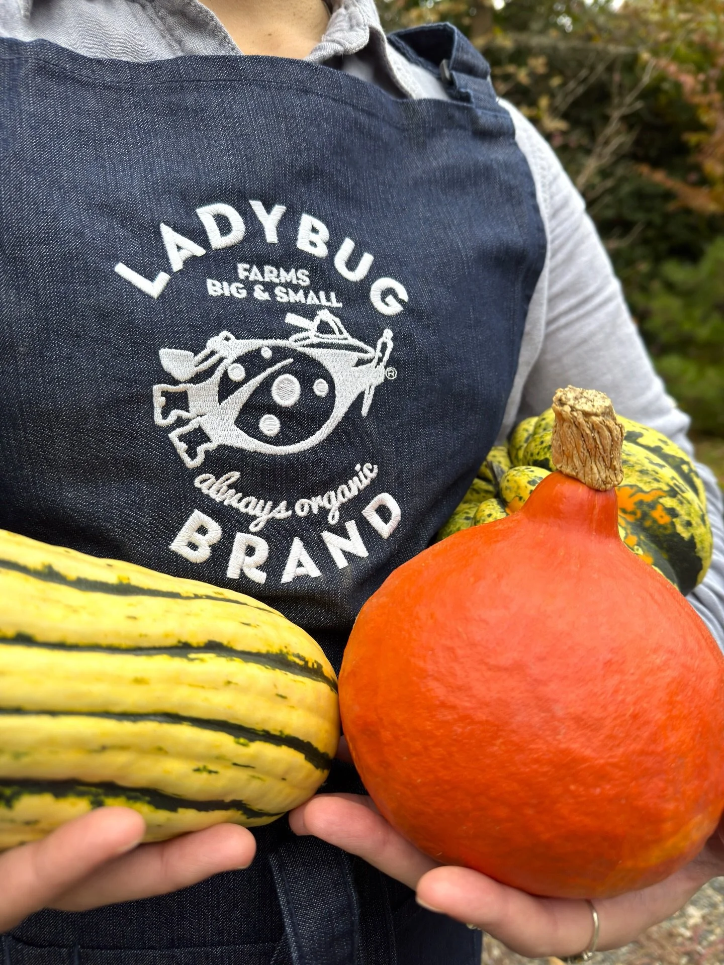 🍂Sweater season = squash season​
From sweet and nutty Butternut to delish Delicata and twirl-able Spaghetti squash, these fall faves are made for roasting, soups and everything in between. Grown by NW farmers and picked right when the flavor&rsquo;s