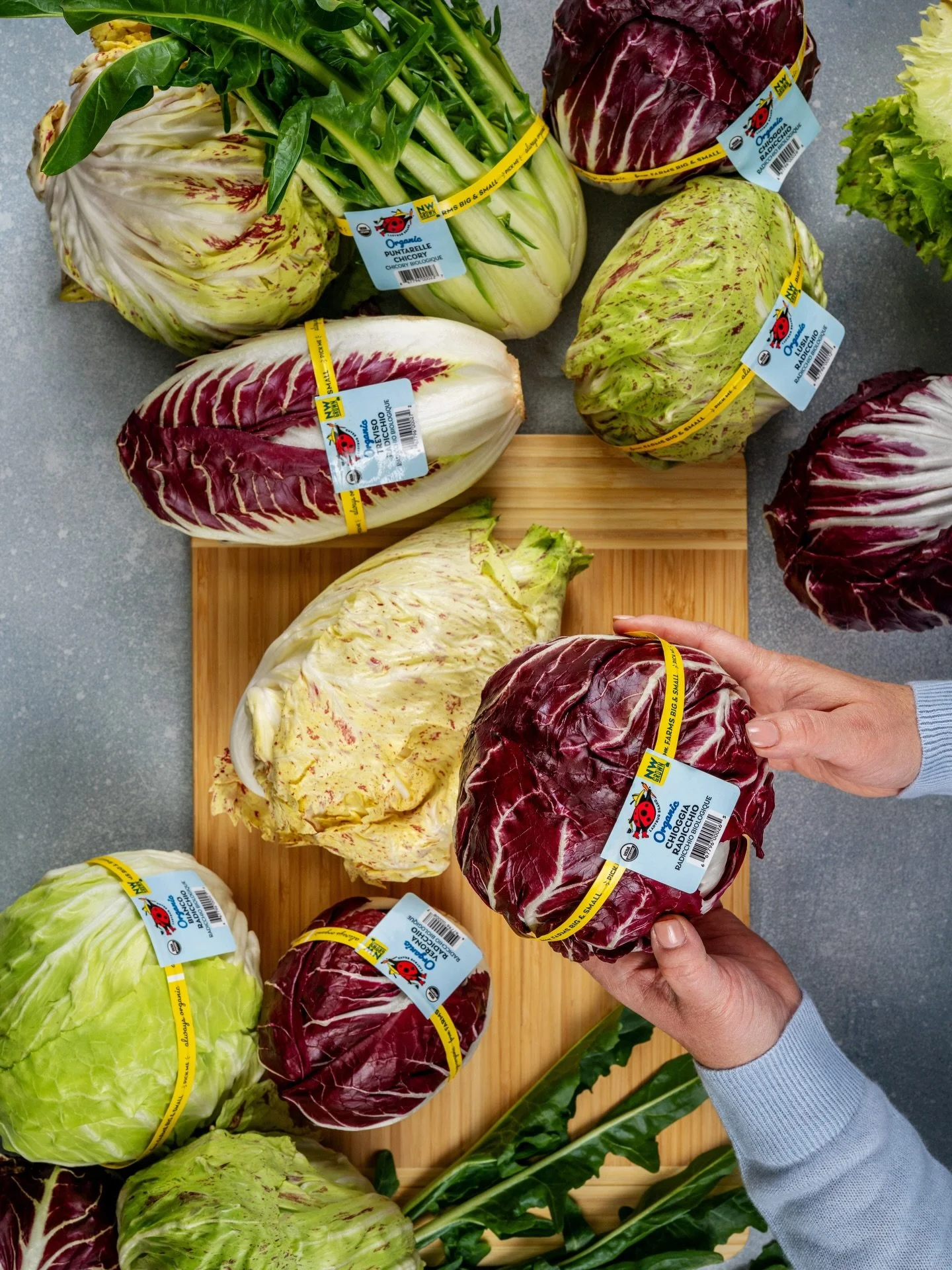 Radicchio season has entered the chat.​
Bold, beautiful and made for cooler days, organic radicchios shine in salads, on the grill or roasted until sweet and mellow.​
​
Check out Treviso with tall sturdy leaves perfect for dipping, grilling and addin