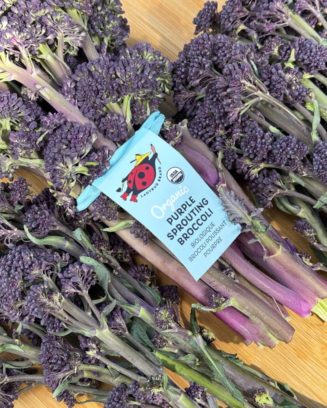 💜 Spring starts with Purple Sprouting Broccoli.
Planted last summer and sweetened by winter frosts, this colorful cousin of broccoli is tender, crisp, and ready for roasting, saut&eacute;ing or tossing into pasta.
 
A tasty bonus for Northwest growe