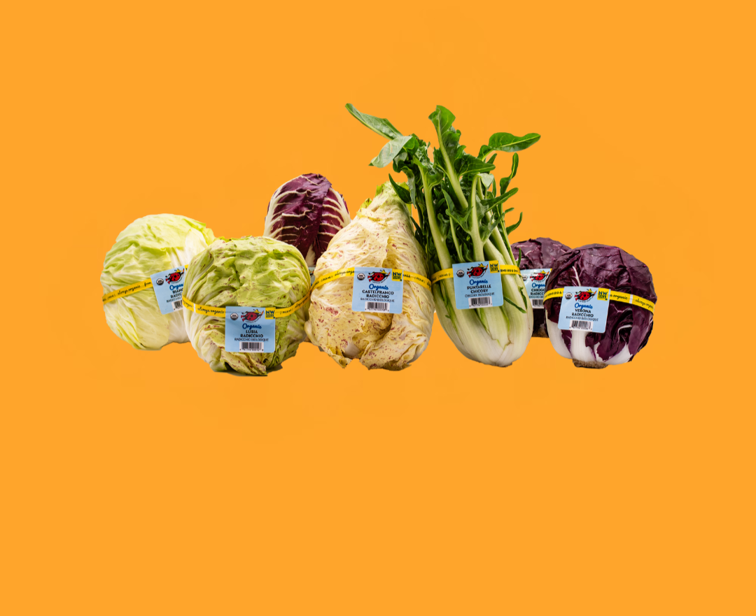 Radicchio+Group+KO+Background.png