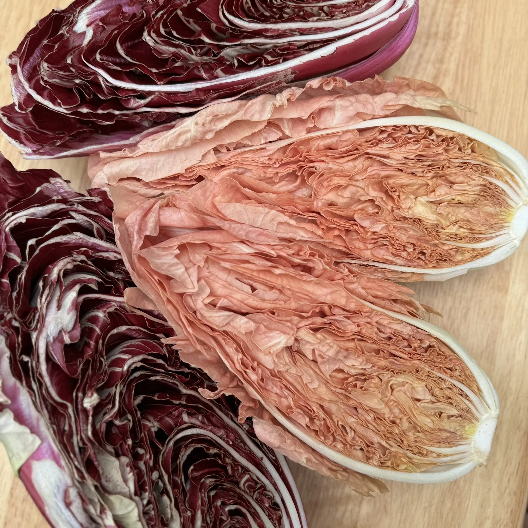 Rosalba, Costarossa Radicchio 6 2024.JPEG