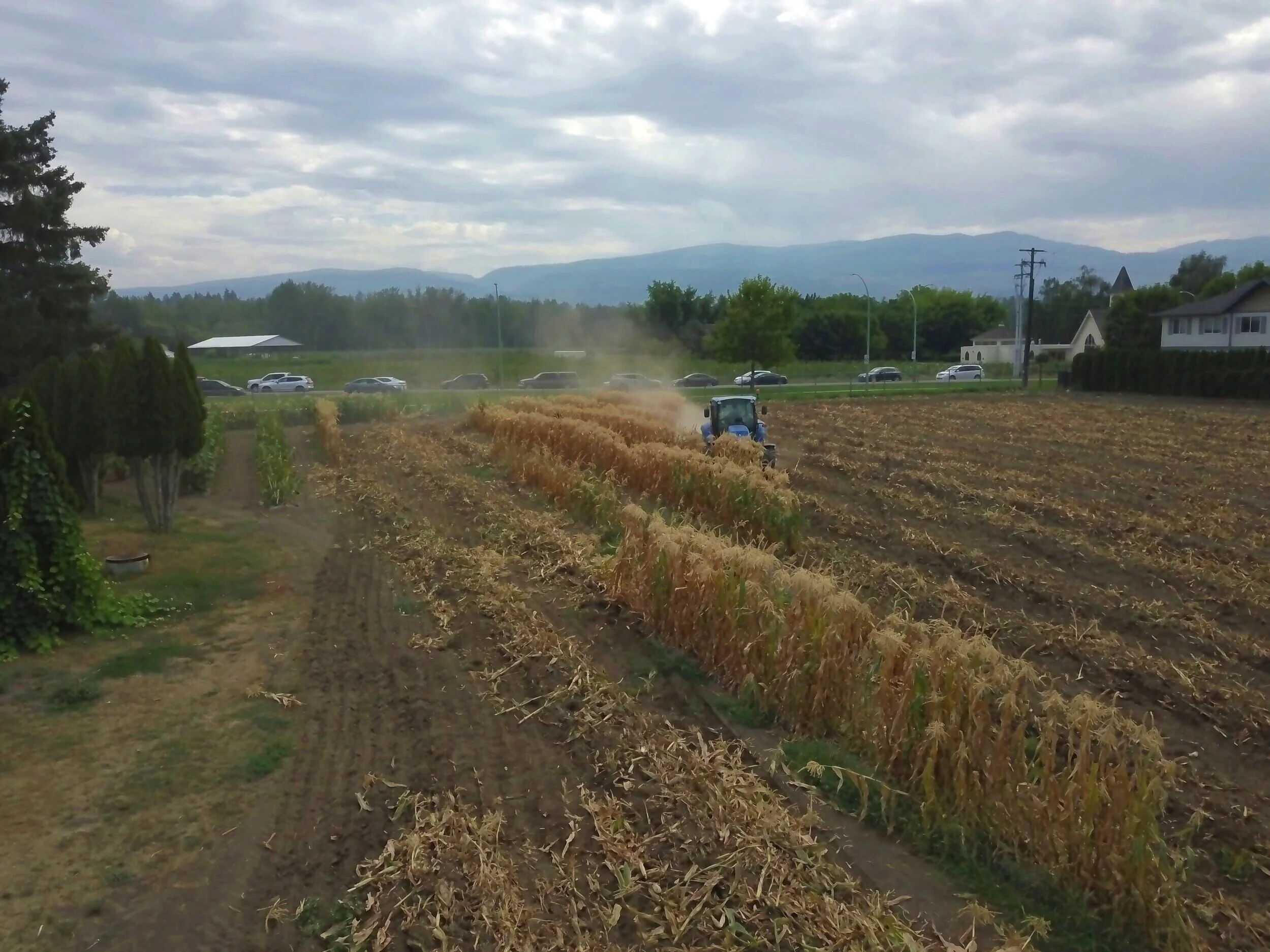 Kelowna Fruit n Veggies Gallery
