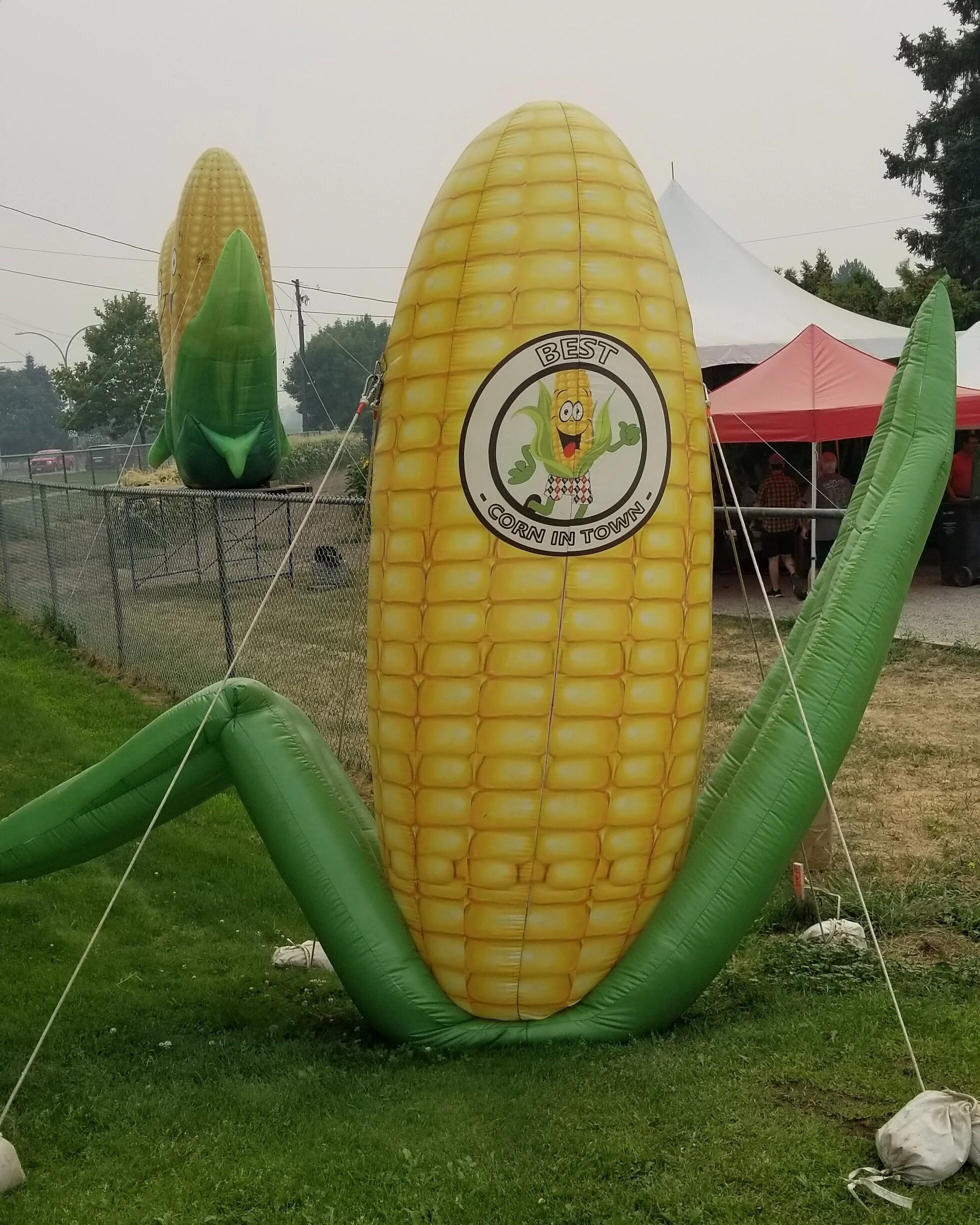 Kelowna Fruit n Veggies Gallery