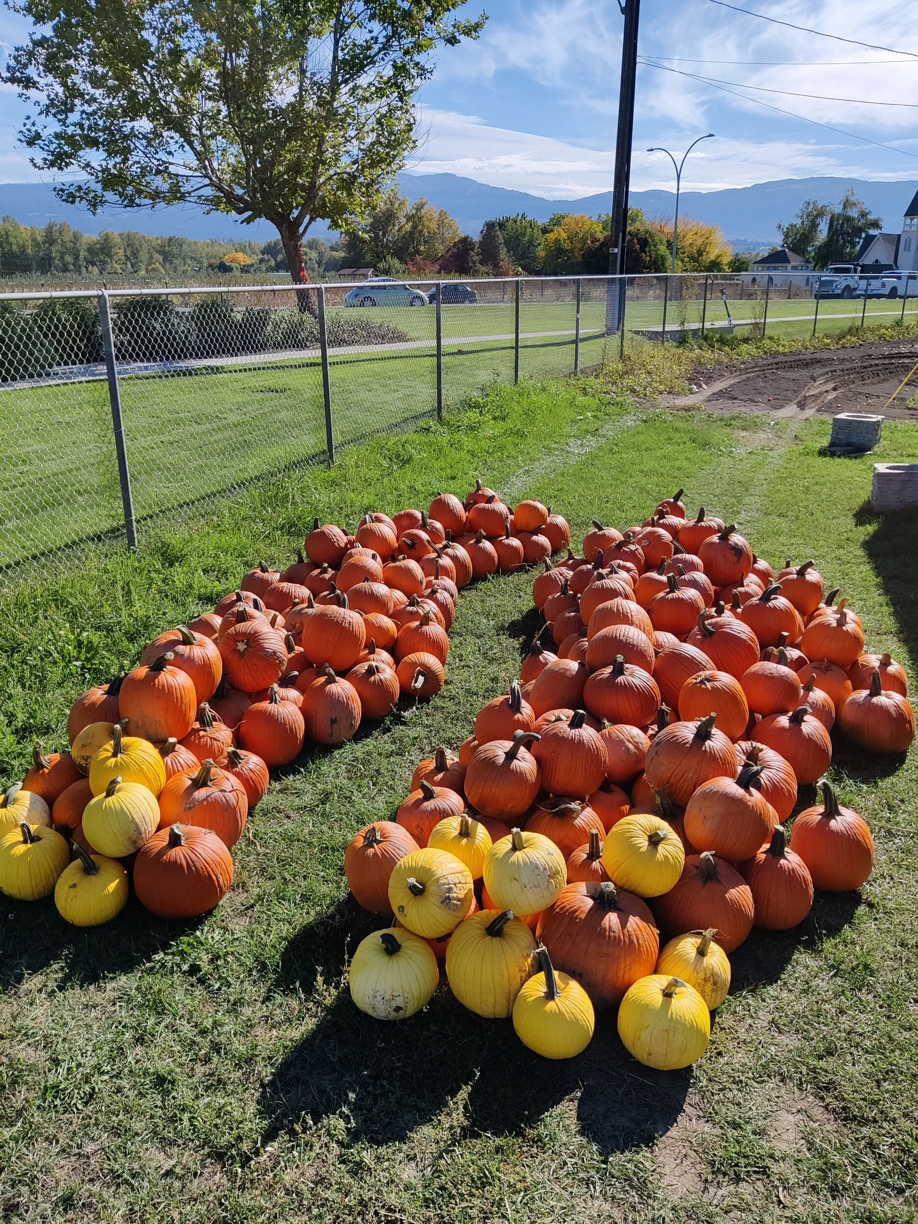 Kelowna Fruit n Veggies Gallery