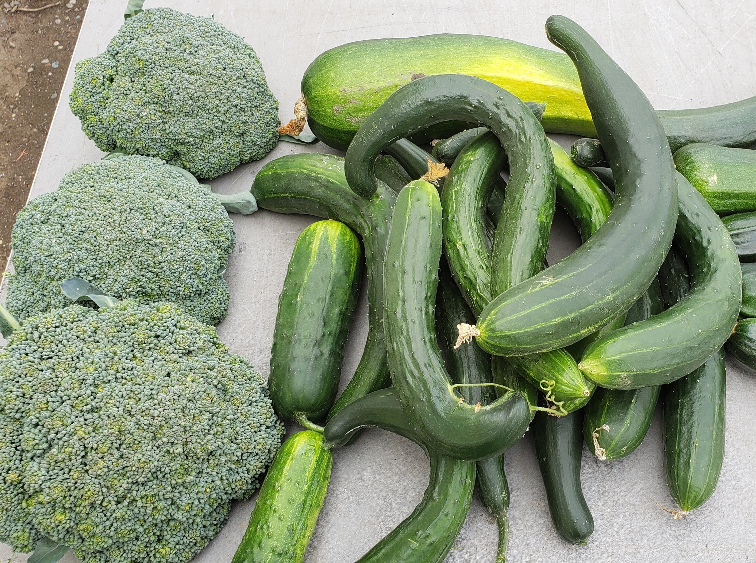 Kelowna Fruit n Veggies Gallery