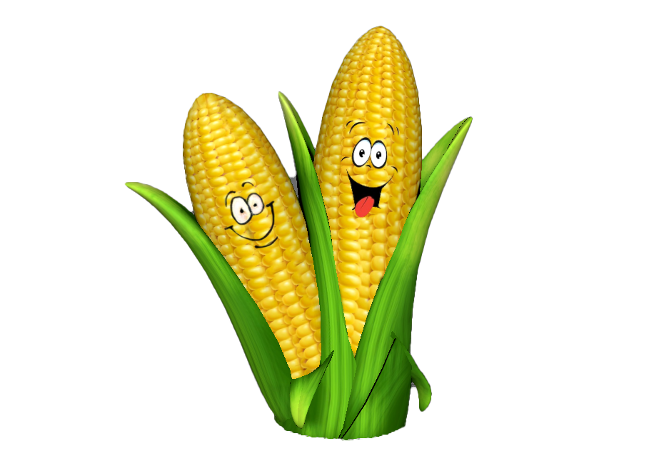 Kelowna Fruit n Veggies