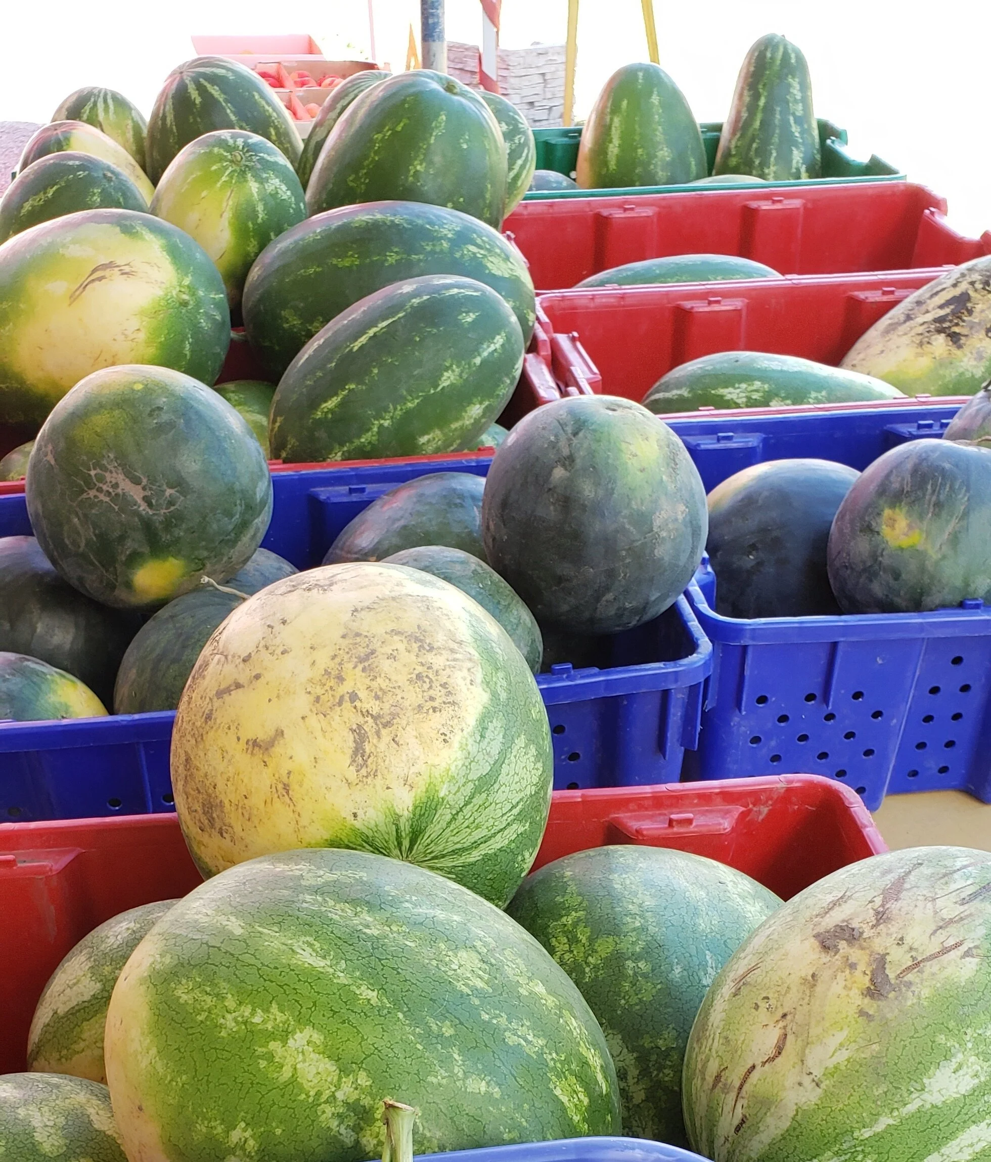 Kelowna Fruit n Veggies Gallery