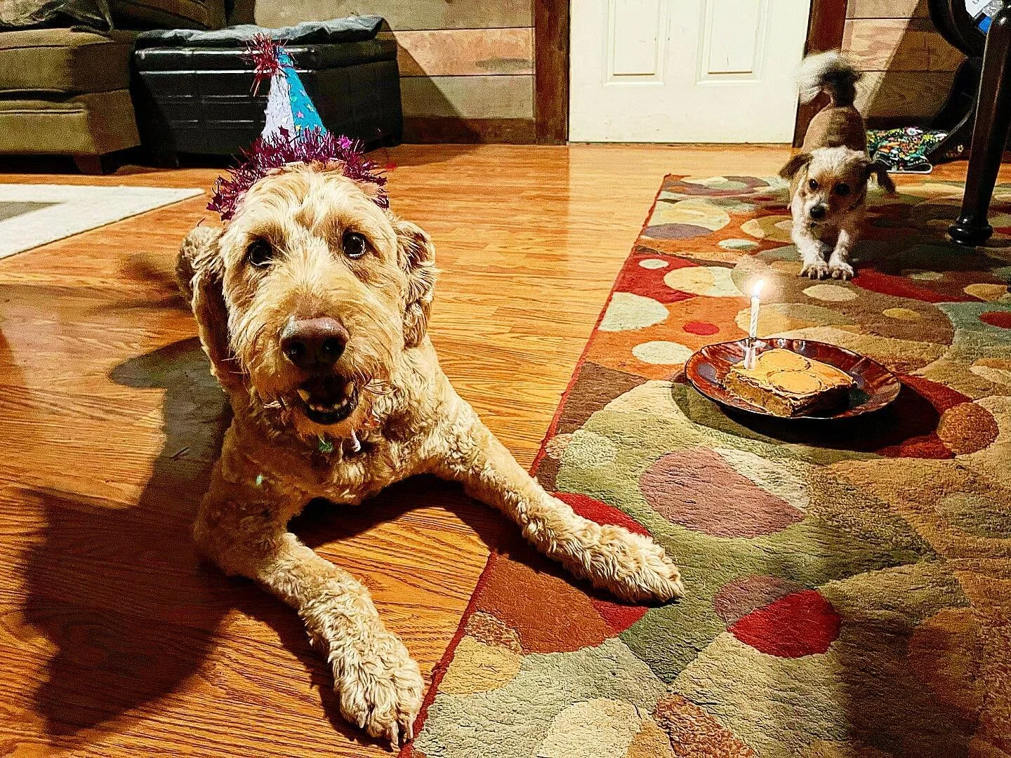 Happy Birthday Yankee!!!