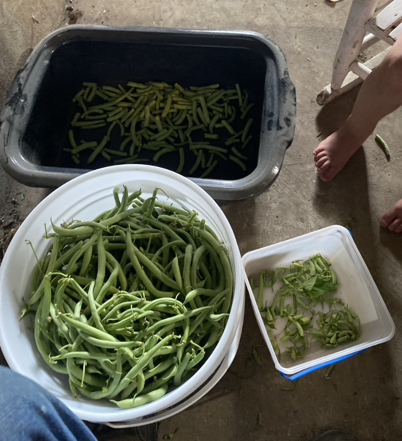 Canning with kids