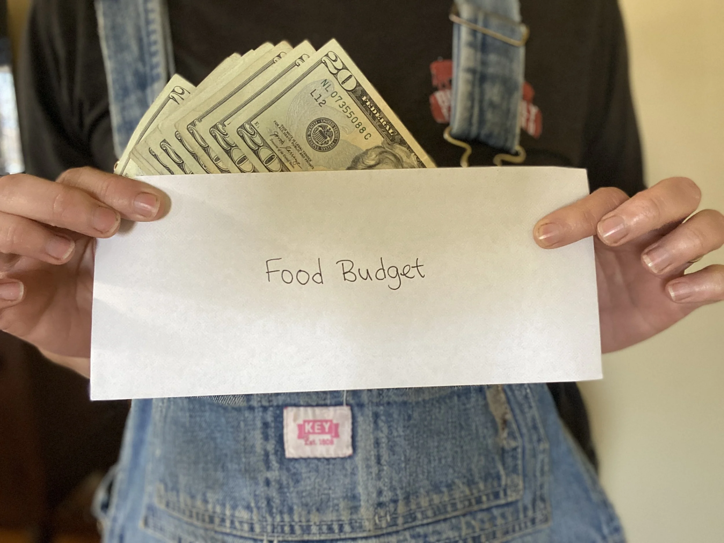 How to start a food budget