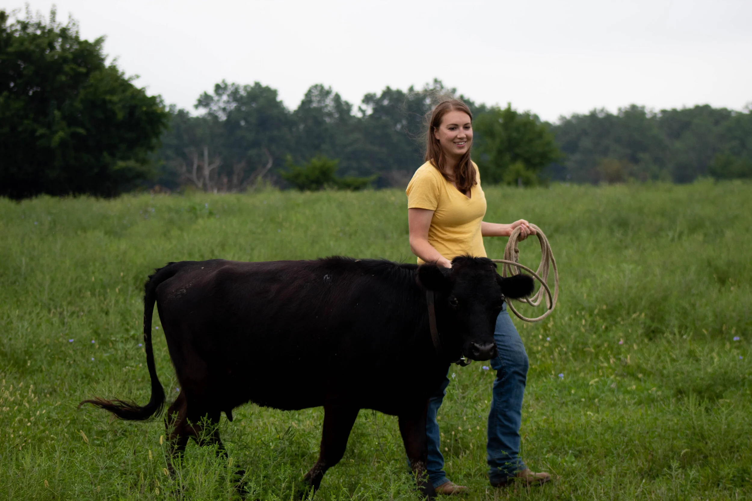 Welcome to the Farmstead