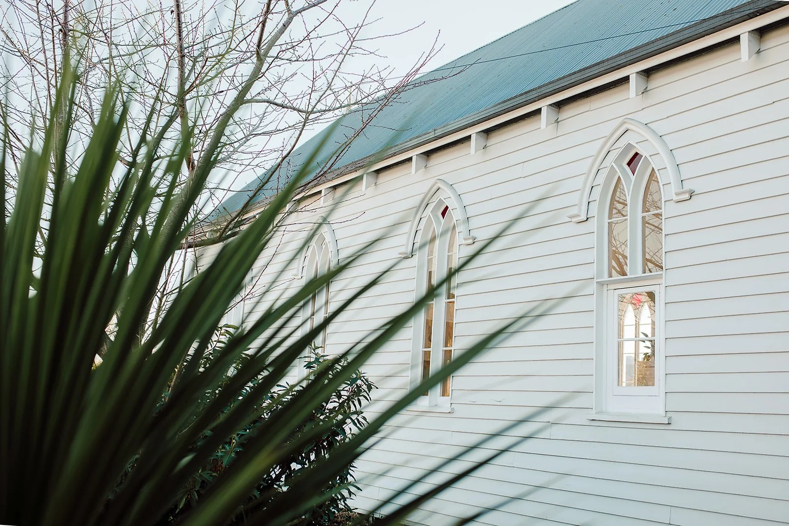 A white wooden church with arched stained glass windows, a blue metal roof, and a tree with bare branches in front.