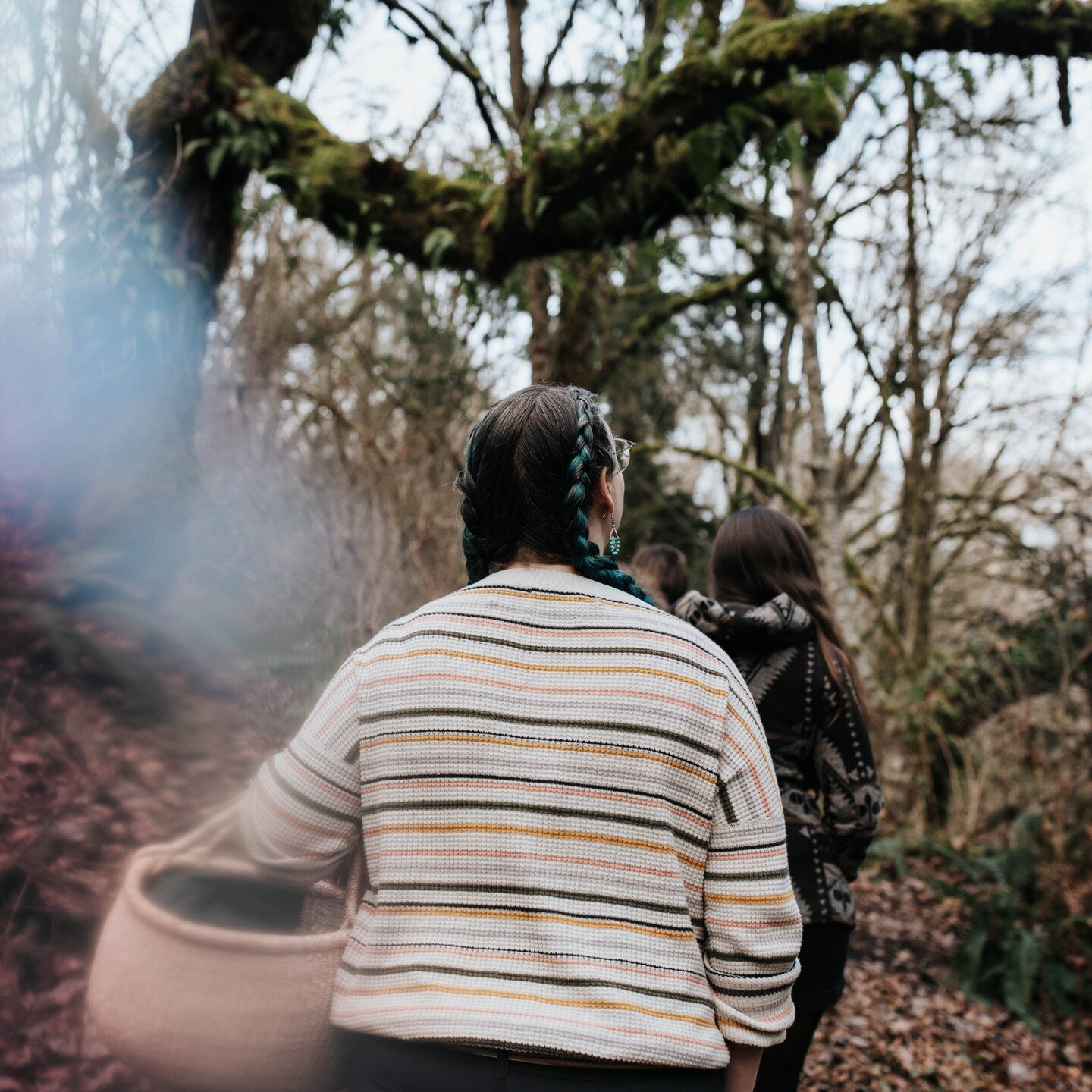 Learning to Forage

Are you interested in foraging but feel intimidated? Depending on the time of year, it can be overwhelming! Pick a spot in the forest during the summer months, and you'll see dozens of different types of plants right in front of y