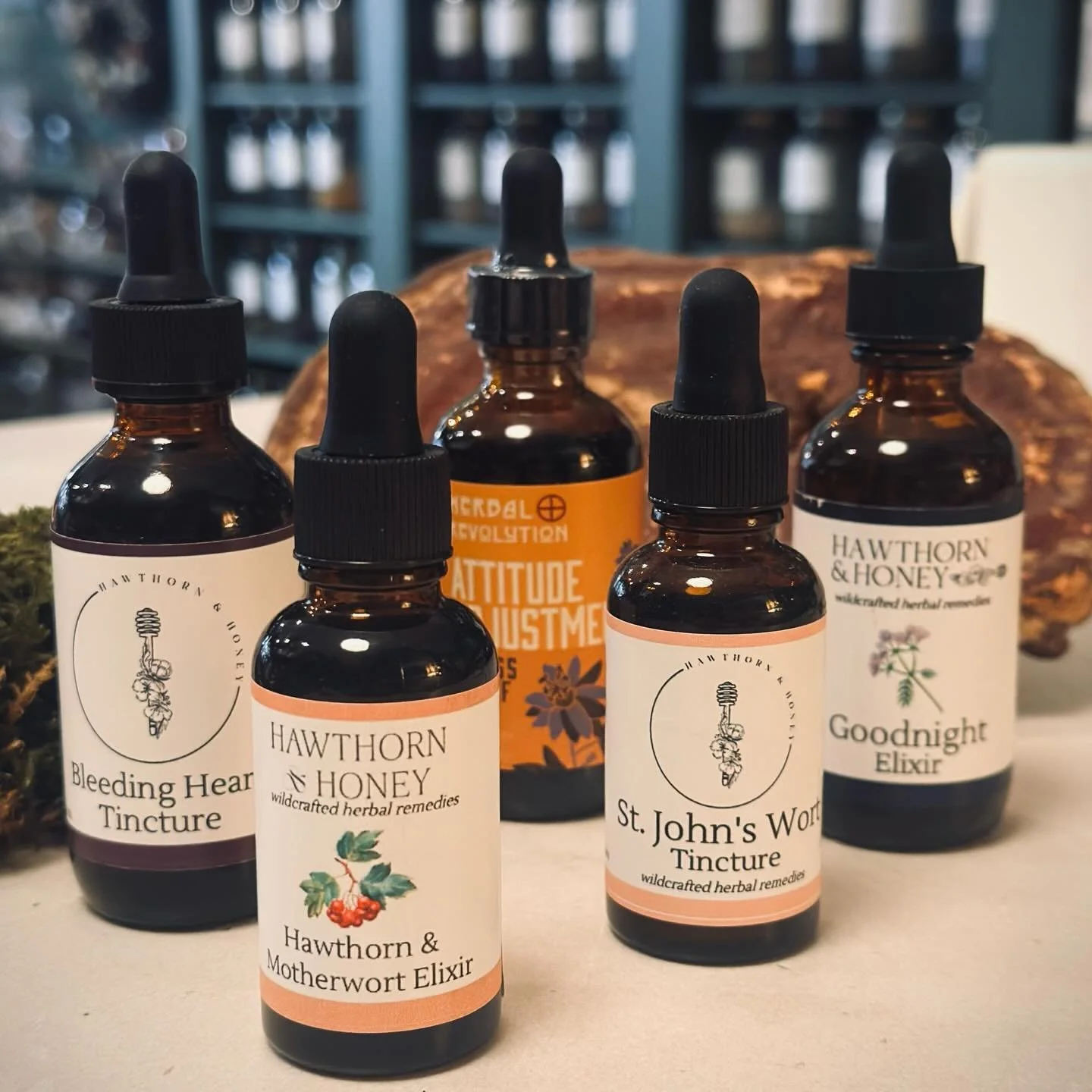 In a time when the world feels loud and intense, we remain a place of rest and nourishment.

Our intention is to offer care and recovery. We believe that moments like these call for grounding, presence, and the quiet medicine of plants and human conn