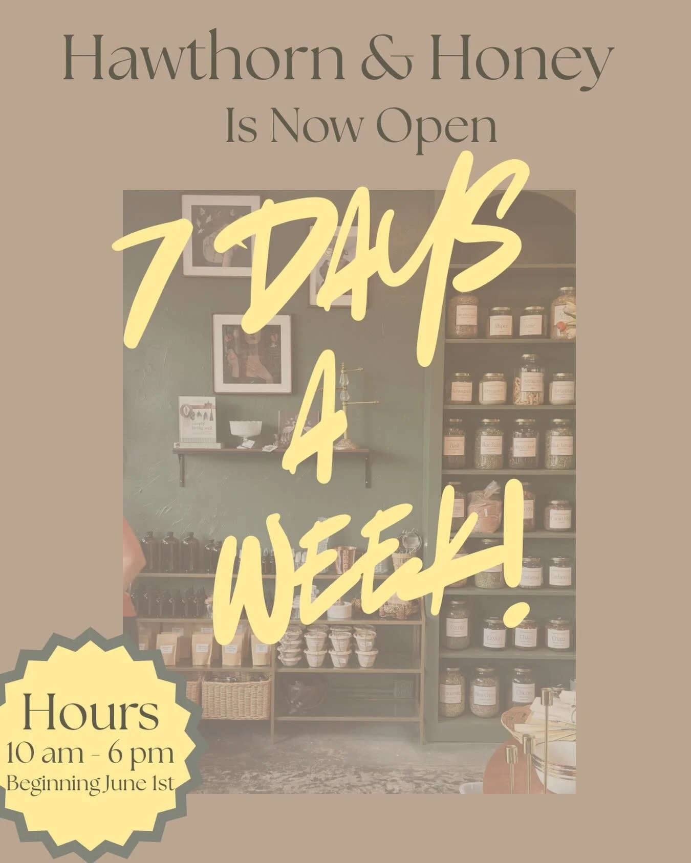 By popular request, we are EXCITED to announce that the apothecary will now be open 7 days a week! Starting June 1st, come visit us every day from 10am&ndash;6pm. We look forward to seeing you!!

#proctordistrict #pnwherbalism #tacomasmallbusiness