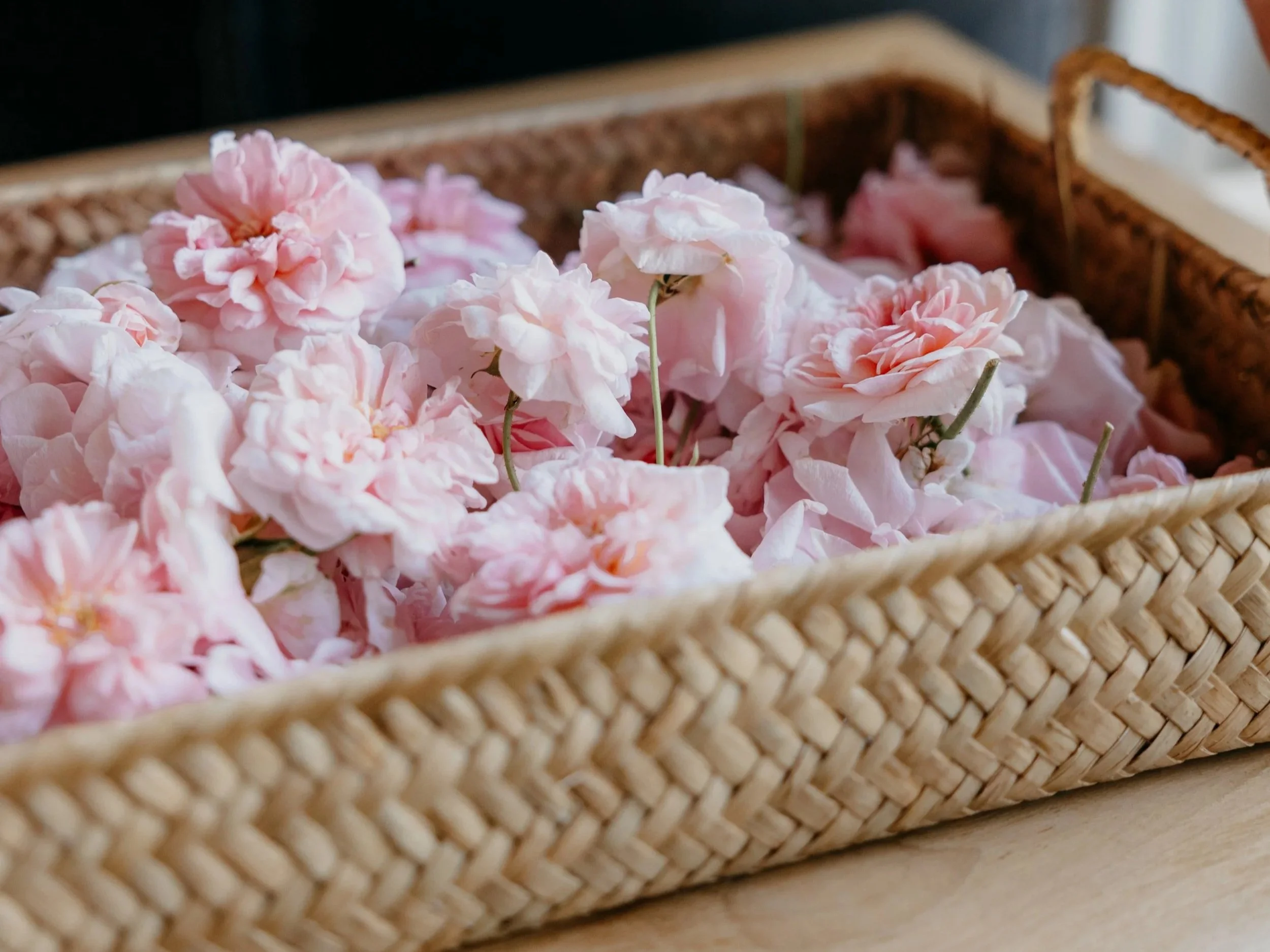 Why Rose Belongs in Every Apothecary