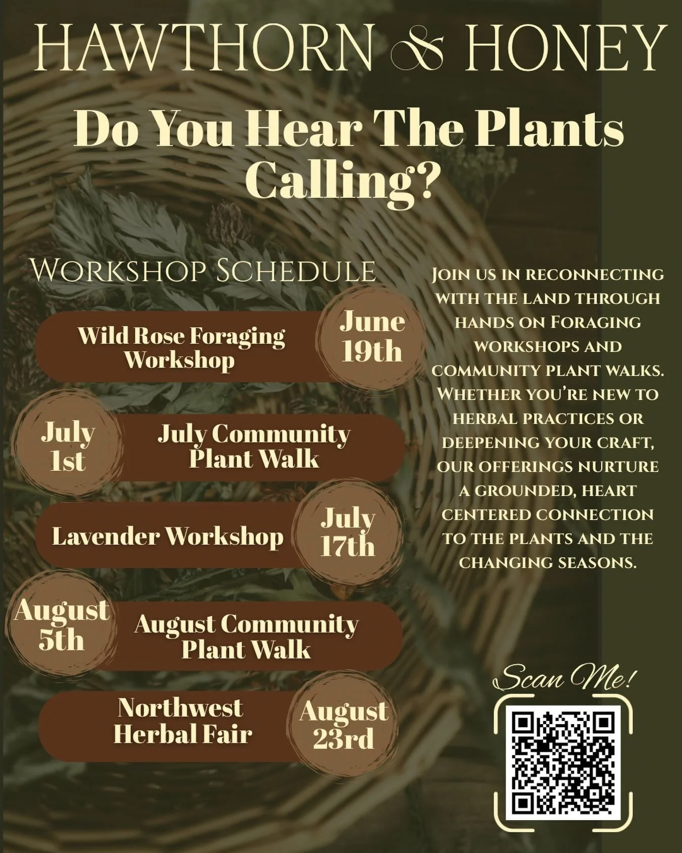 Kicking off summer with few great events on the calendar! Registration for workshops and walks is on the Hawthorn &amp; Honey website! Come connect to the abundance that fills our region during this season! Visit @friendsofthetreesbotanicals for more