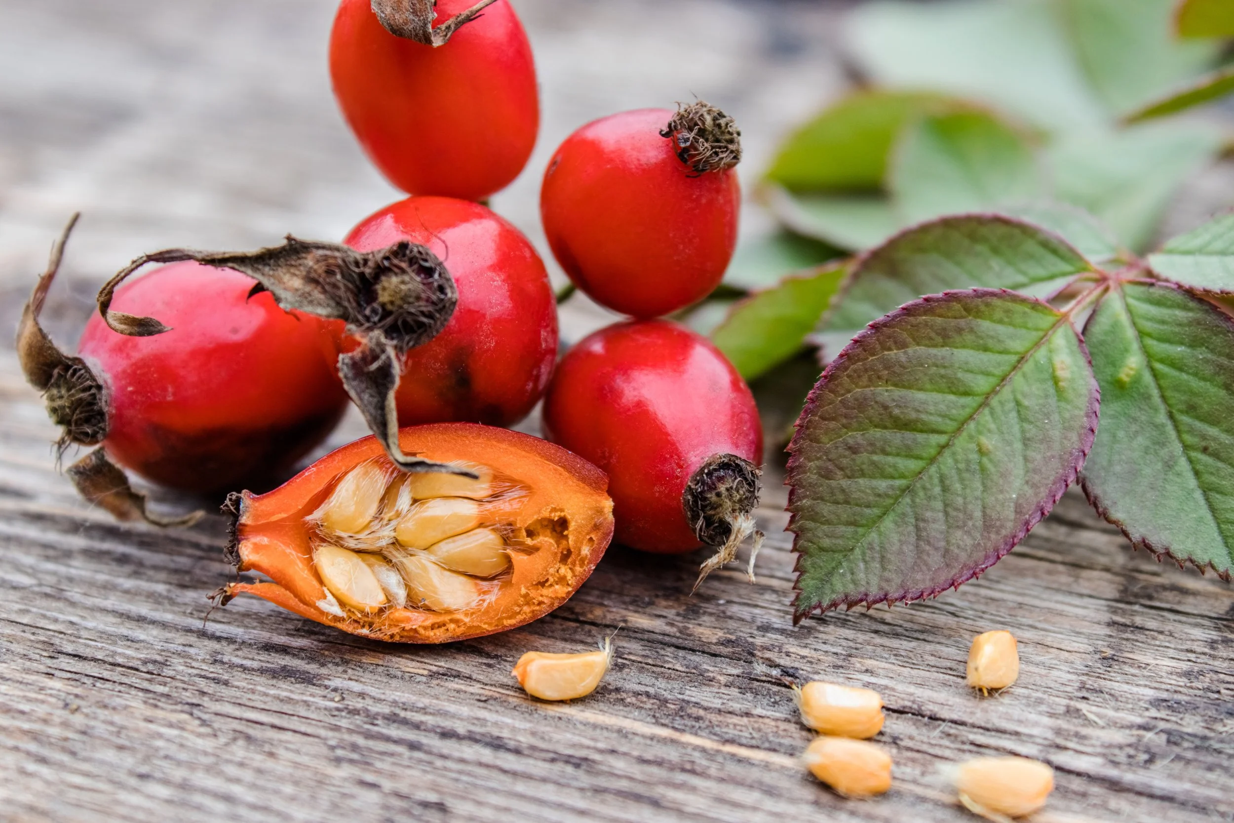 Amazing Rosehip Seed Oil For Hair Capture in HD Amazing Rosehip Seed Oil For Hair Capture in HD