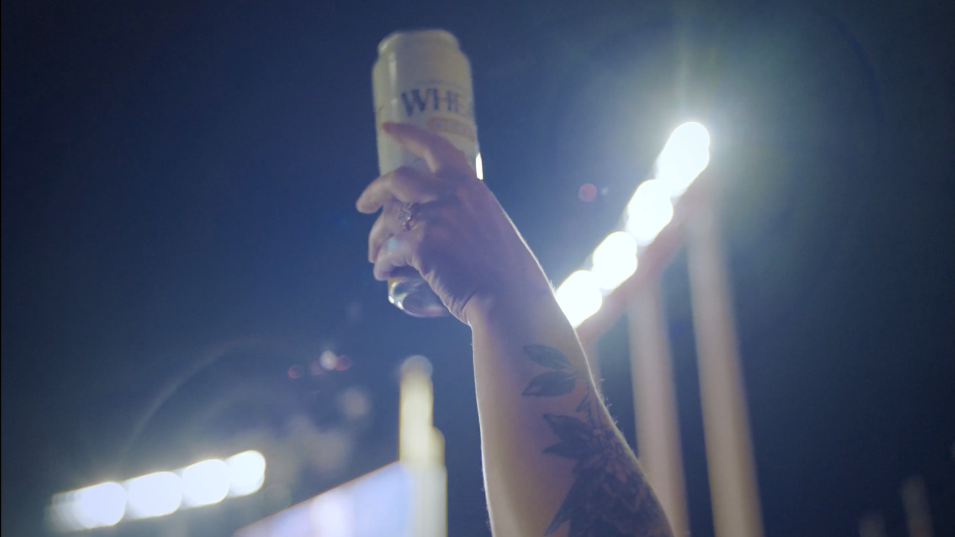 Boulevard Brewing Co. - Welcome to the Party