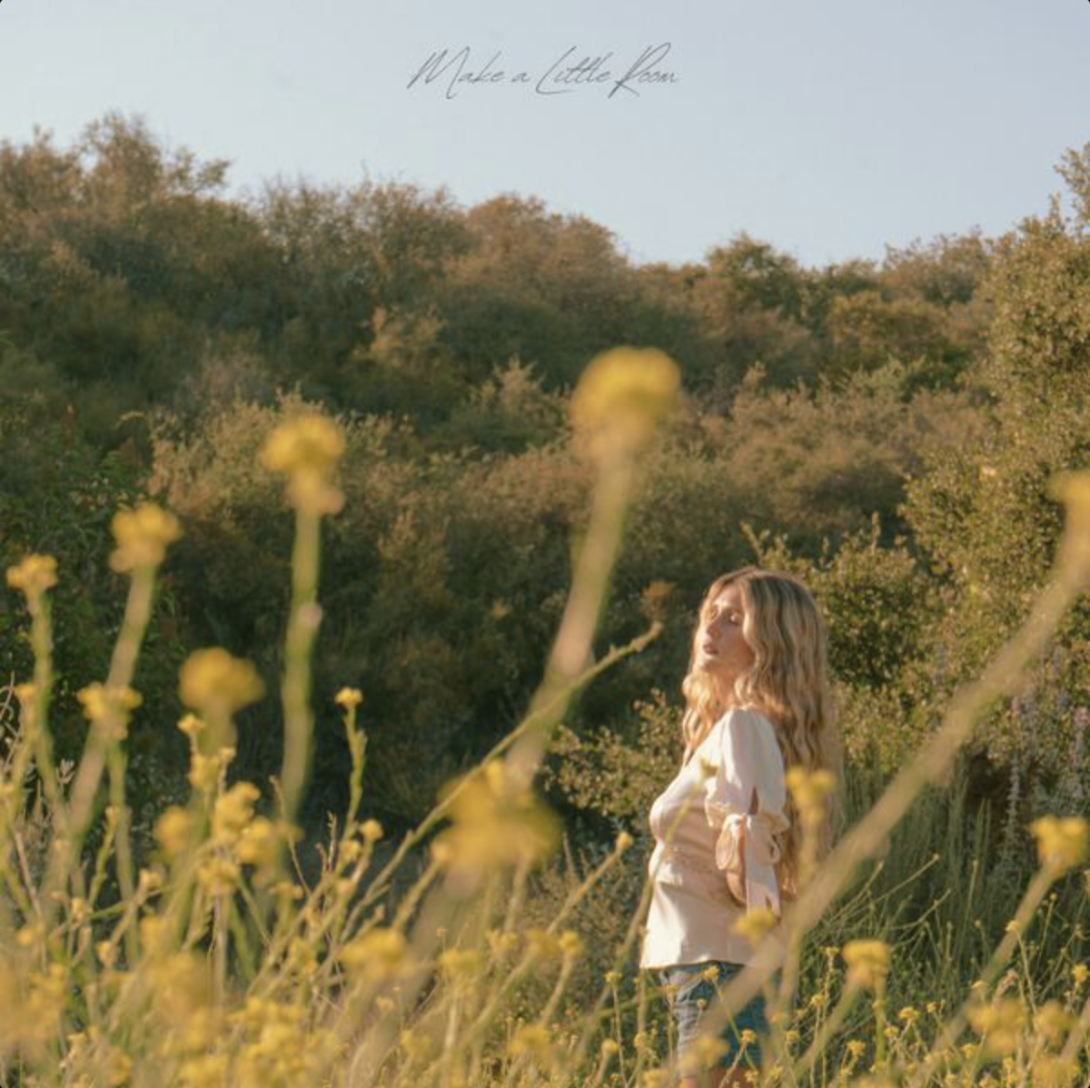 Make A Little Room - Ashley Elle [Mixer • Single]