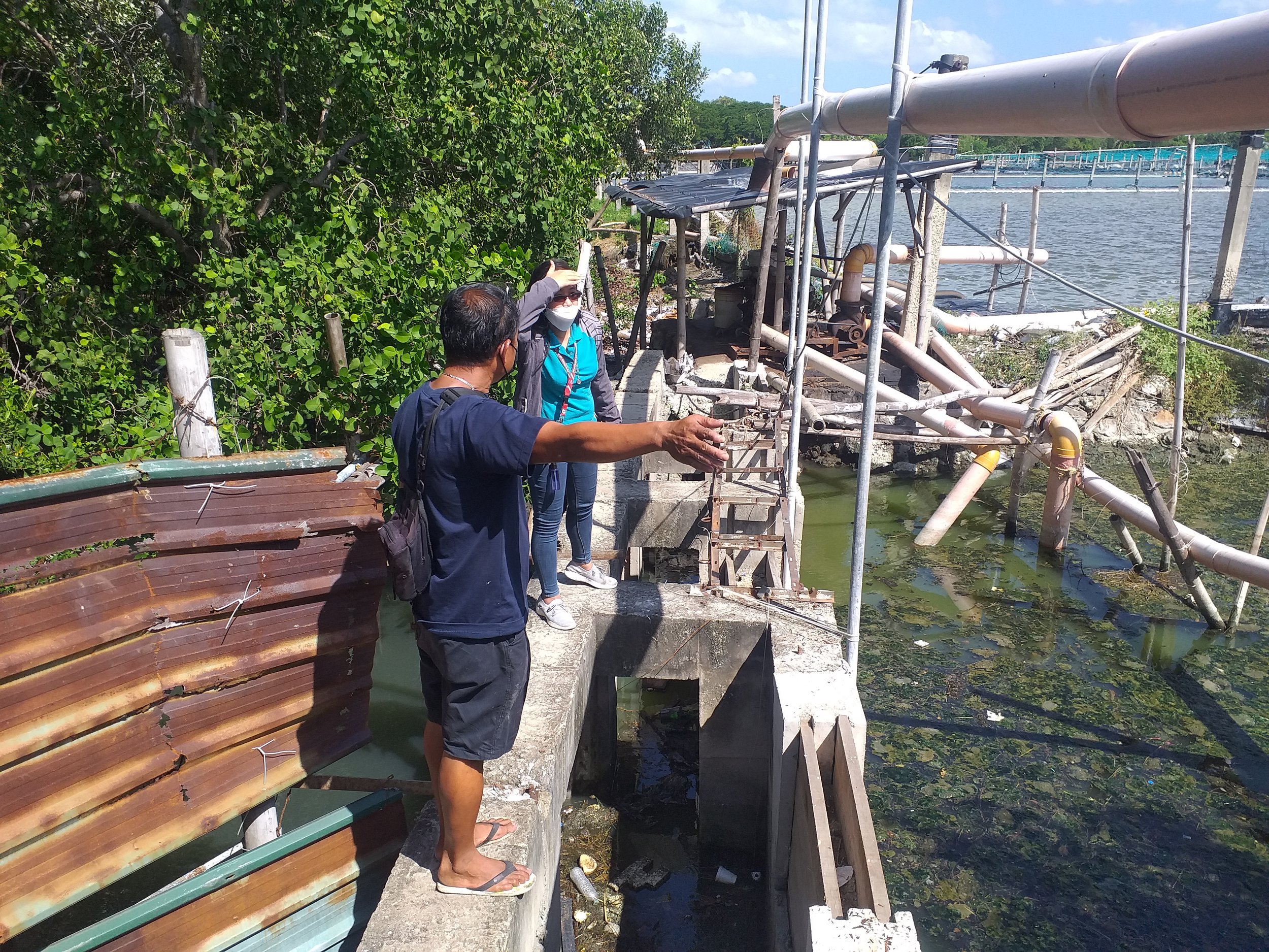 Water Quality Analysis on existing
conducted on November 3, 2021