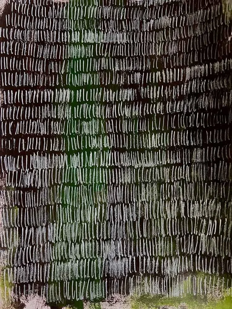 Remnants study, 1